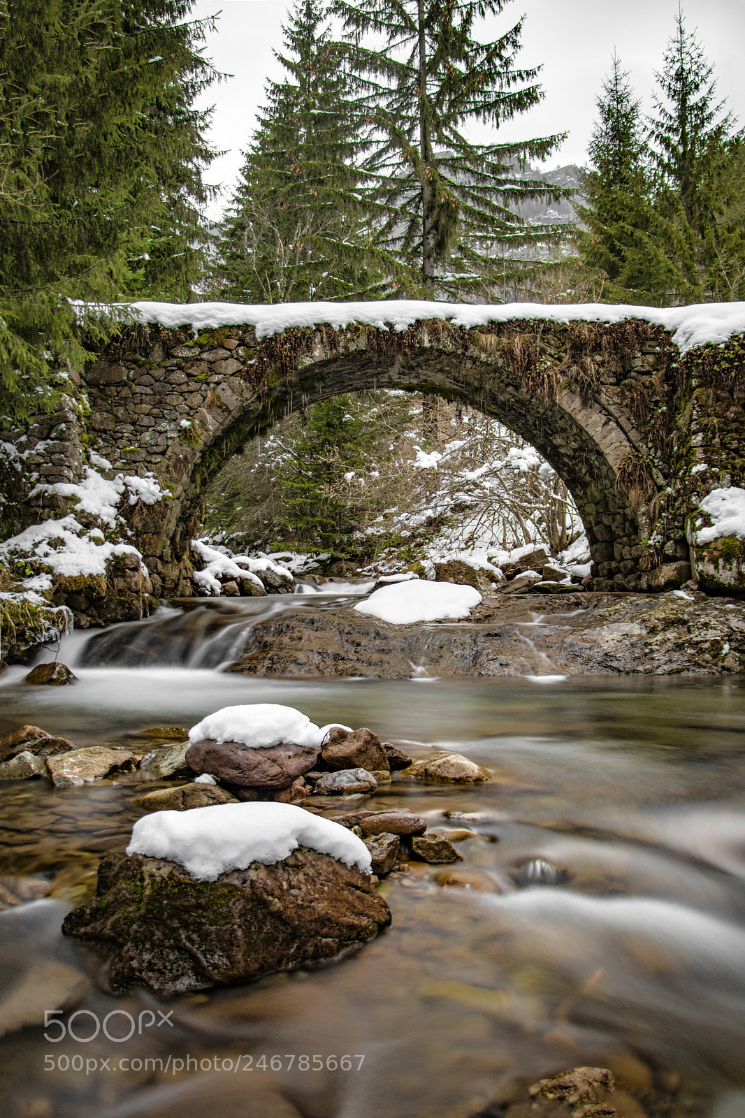 Canon EOS 750D (EOS Rebel T6i / EOS Kiss X8i) sample photo. The beauty of bulgaria photography