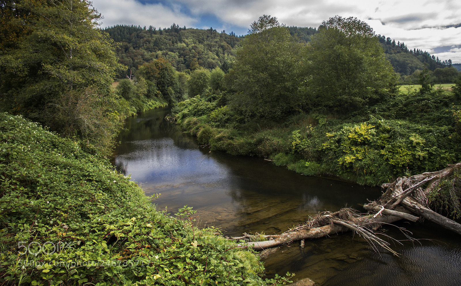Canon EOS 550D (EOS Rebel T2i / EOS Kiss X4) sample photo. Dark river the willapa photography