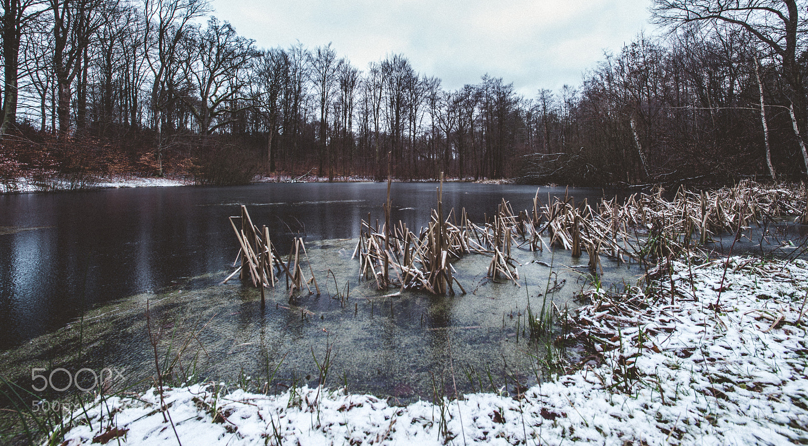 Nikon D610 sample photo. First ice photography