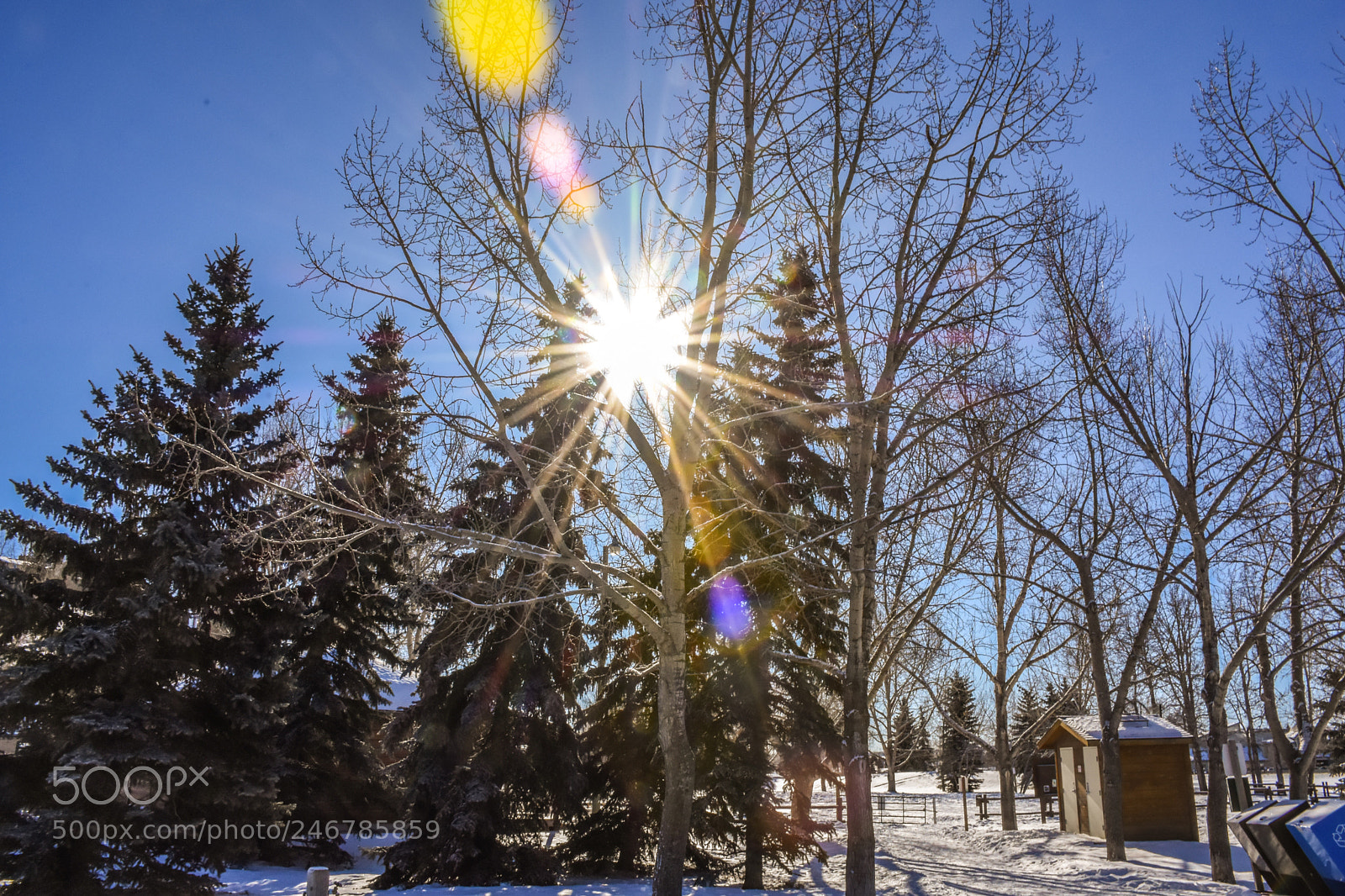 Nikon D7200 sample photo. Like for sunny photography