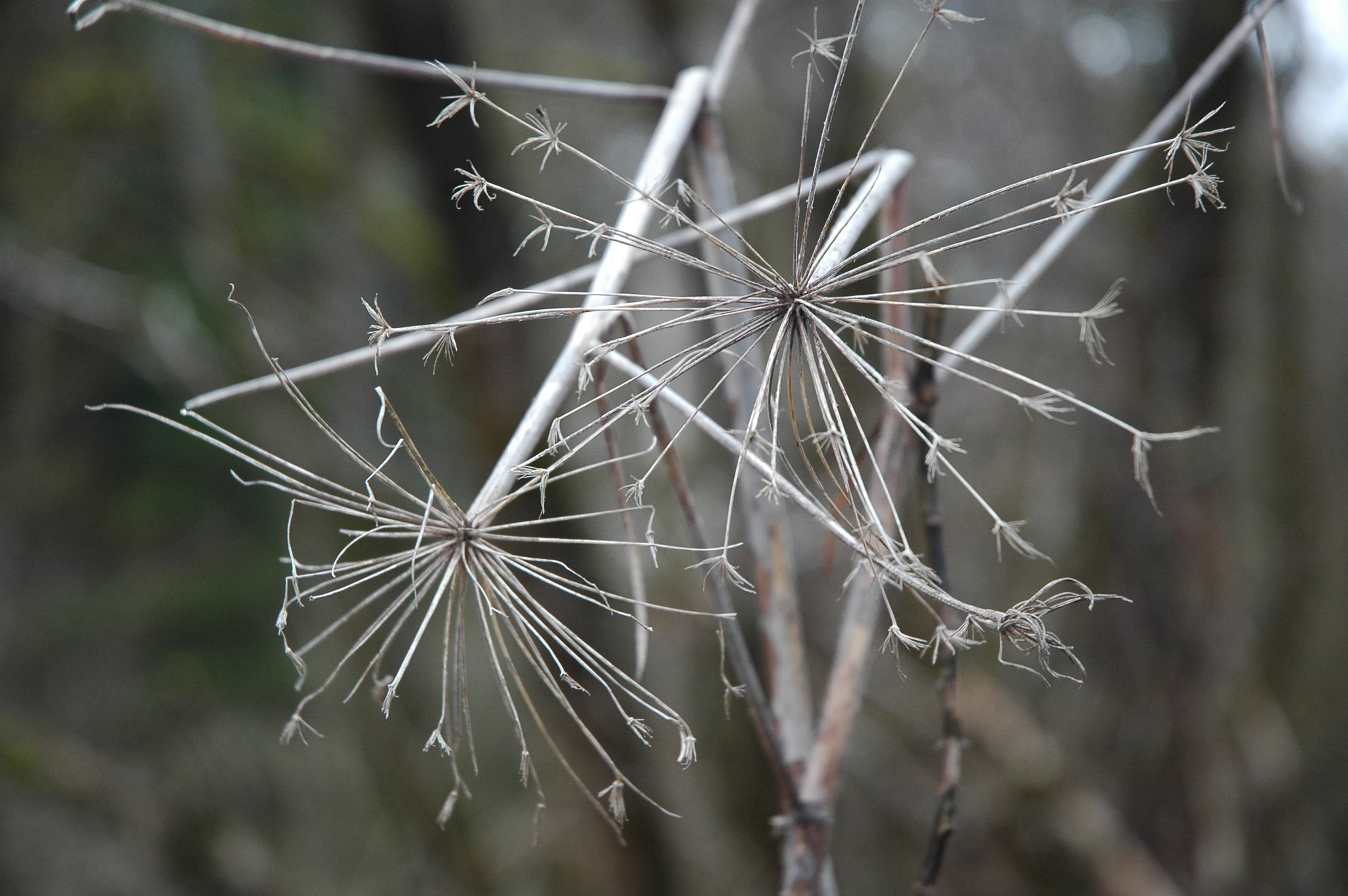 Nikon D70s sample photo. Best shot photography