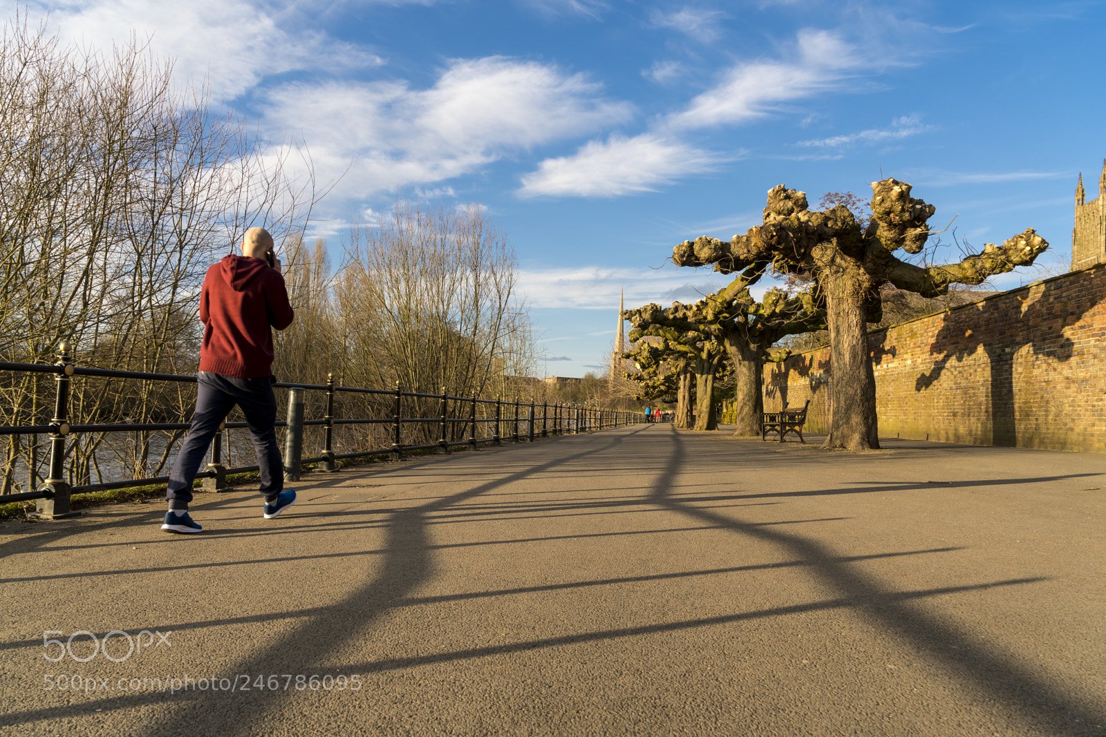Sony a7R II sample photo. Low angle shot of photography