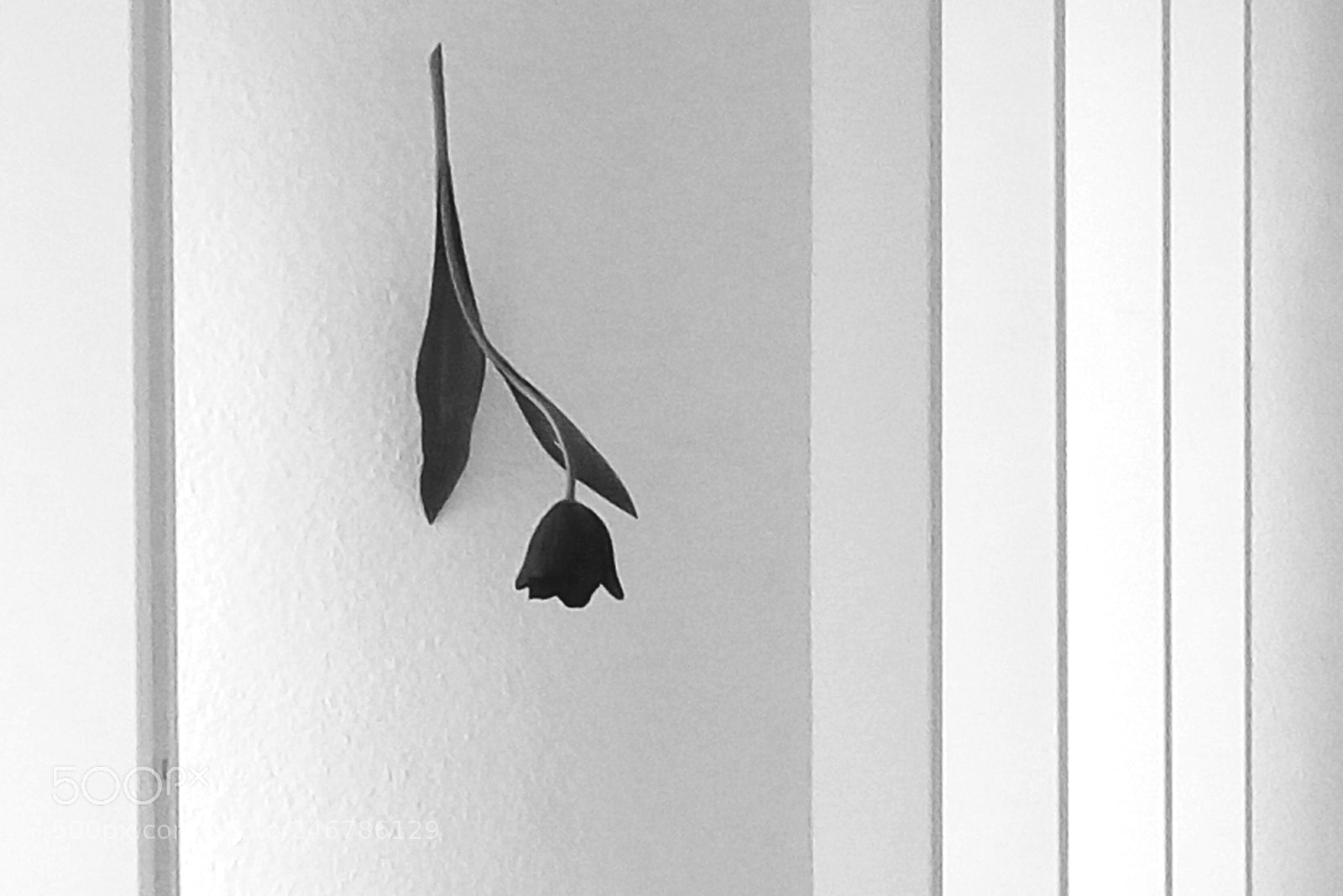 HTC D728X sample photo. Untitled photography