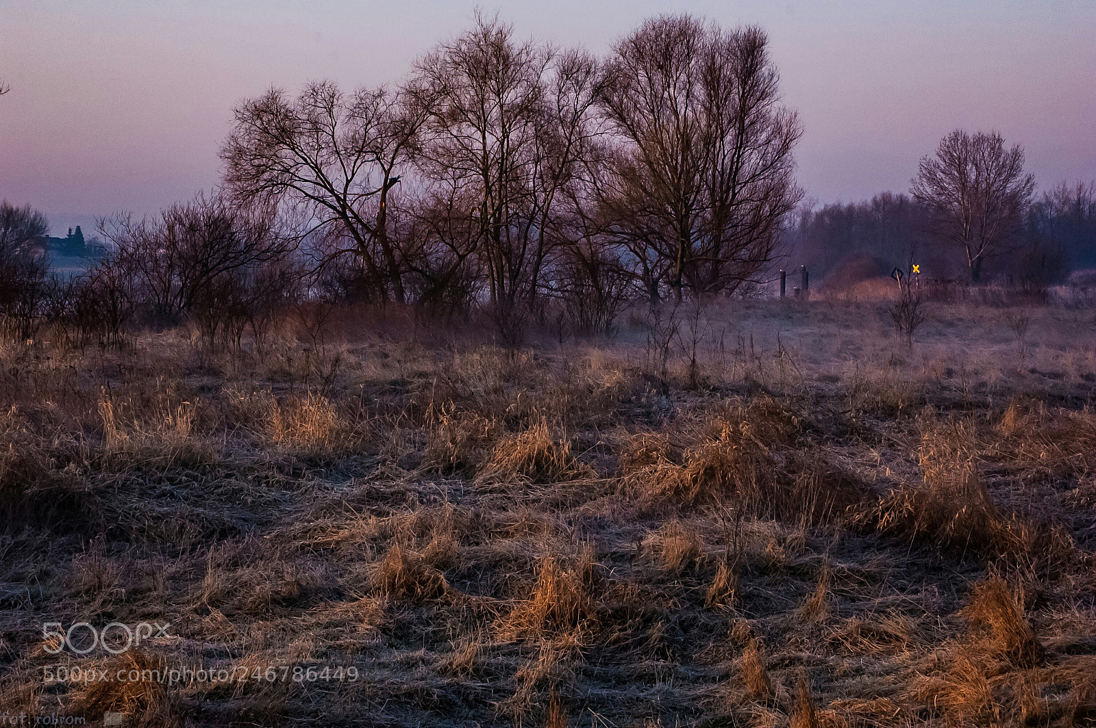 Nikon D50 sample photo. Sunrise photography