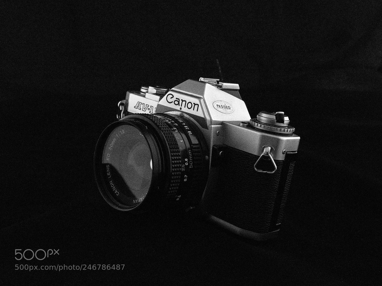 Nikon D5300 sample photo. Dsc photography