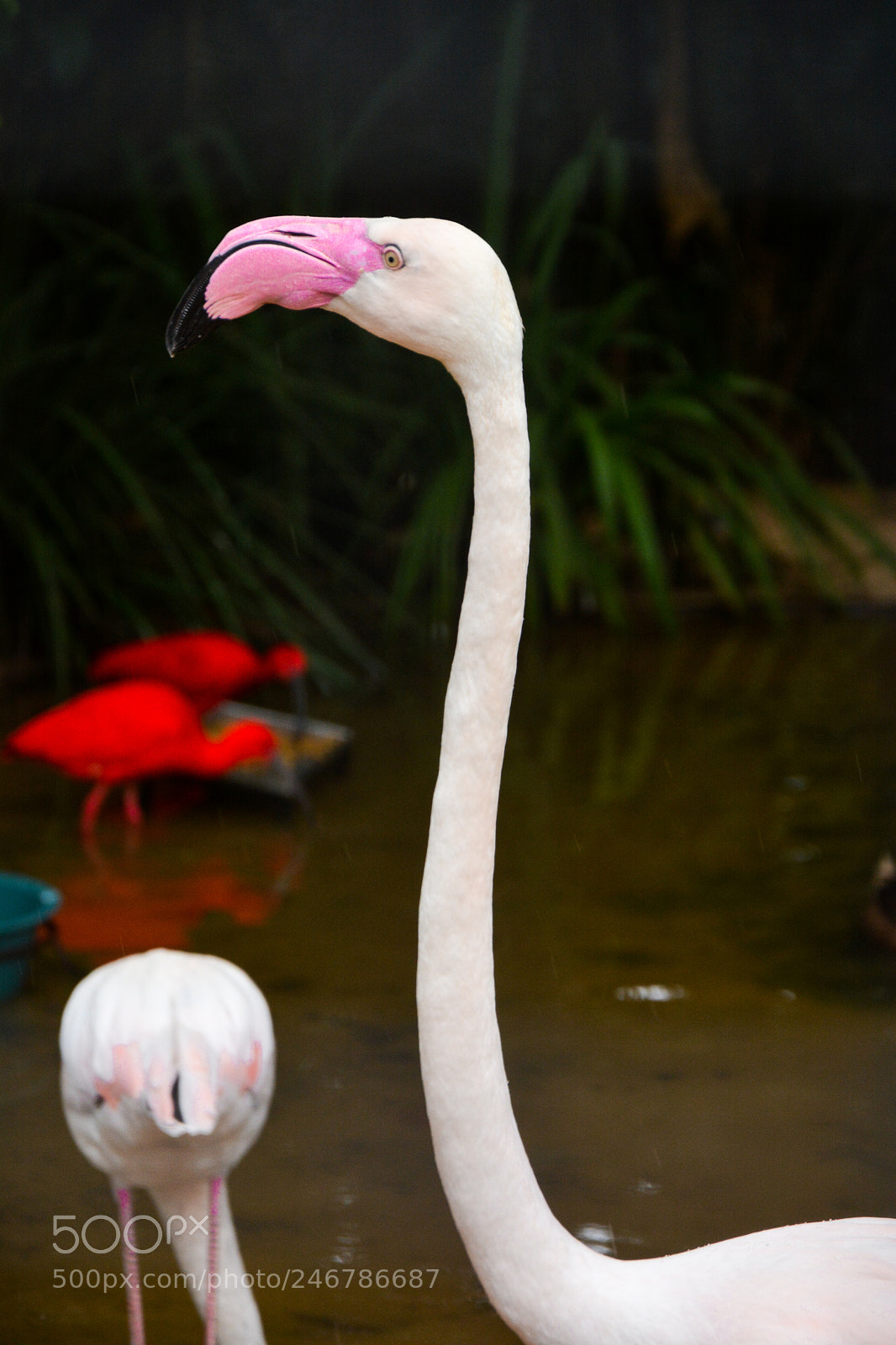Nikon D7100 sample photo. Untitled photography