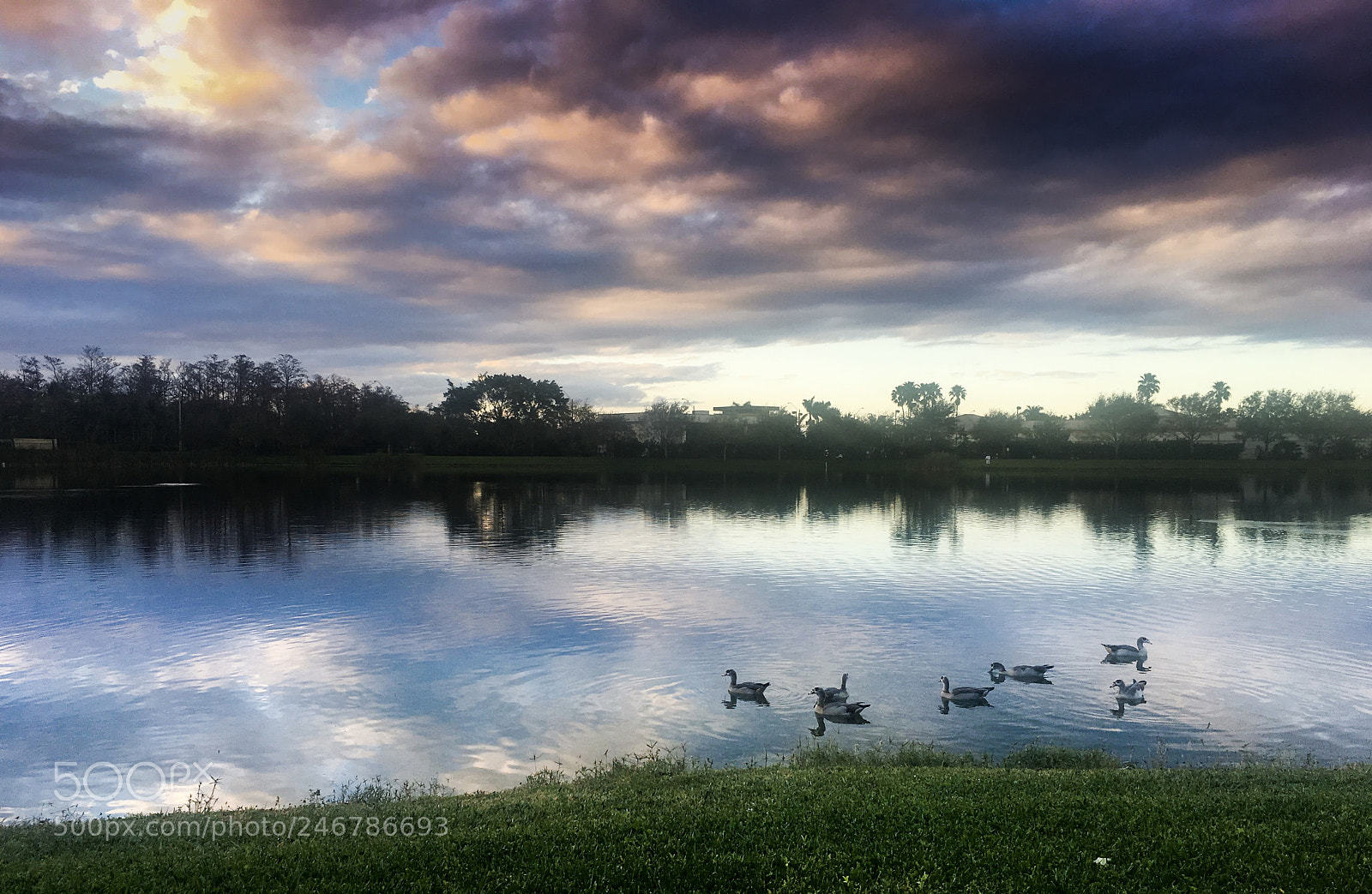 Apple iPhone 6s sample photo. Morning on a lake photography