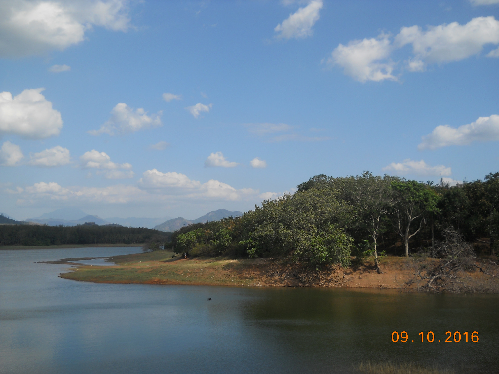 Nikon Coolpix L21 sample photo. Nature photography