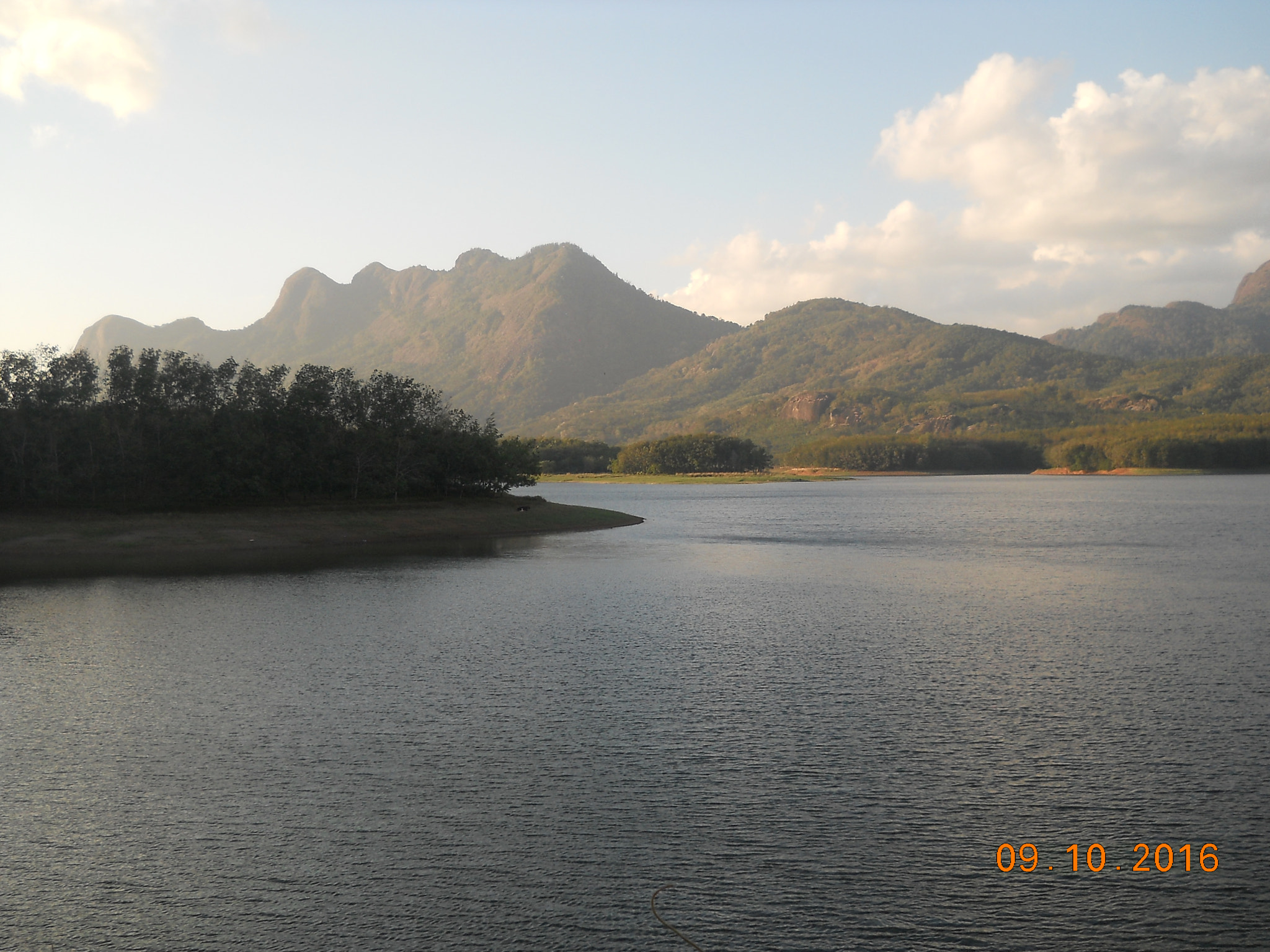 Nikon Coolpix L21 sample photo. Nature photography