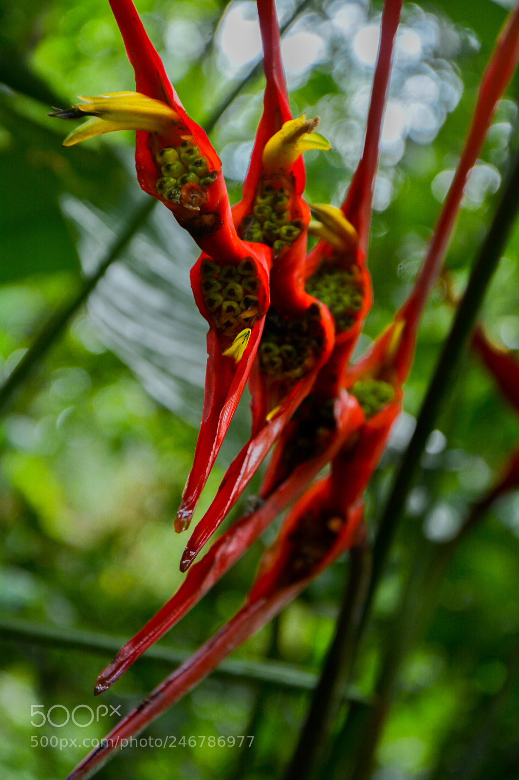 Nikon D7100 sample photo. Untitled photography