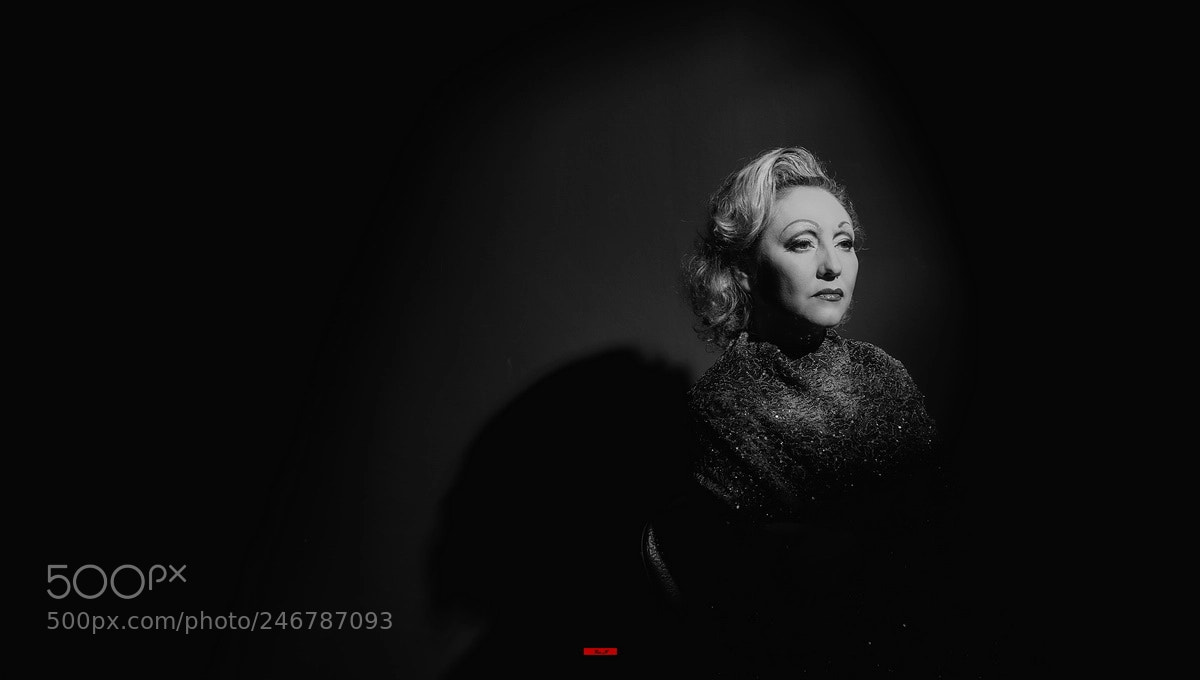 Nikon D610 sample photo. *** photography