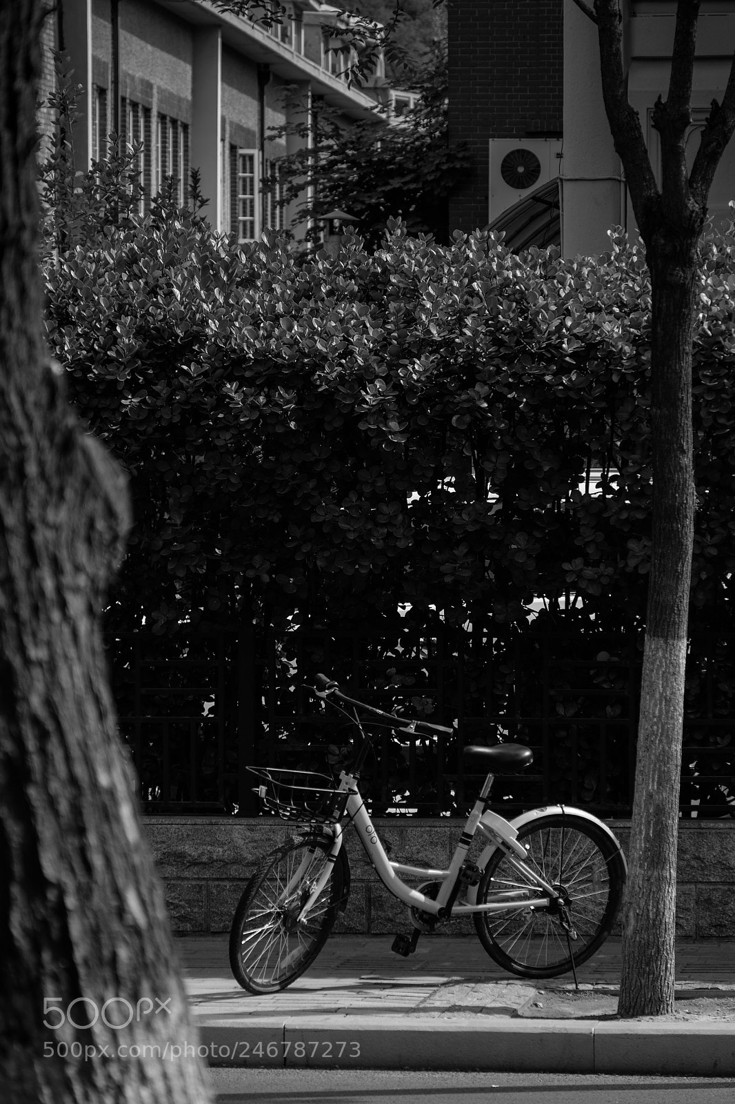 Fujifilm X-Pro2 sample photo. 逛天津 photography