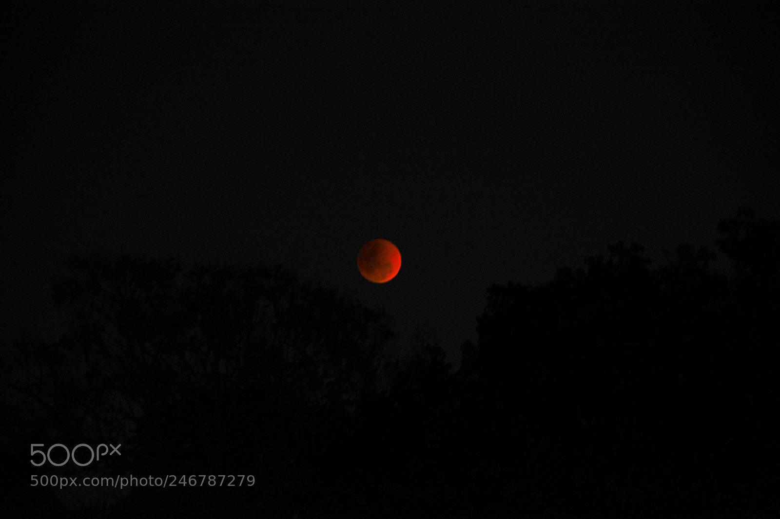 Nikon D7100 sample photo. Untitled photography