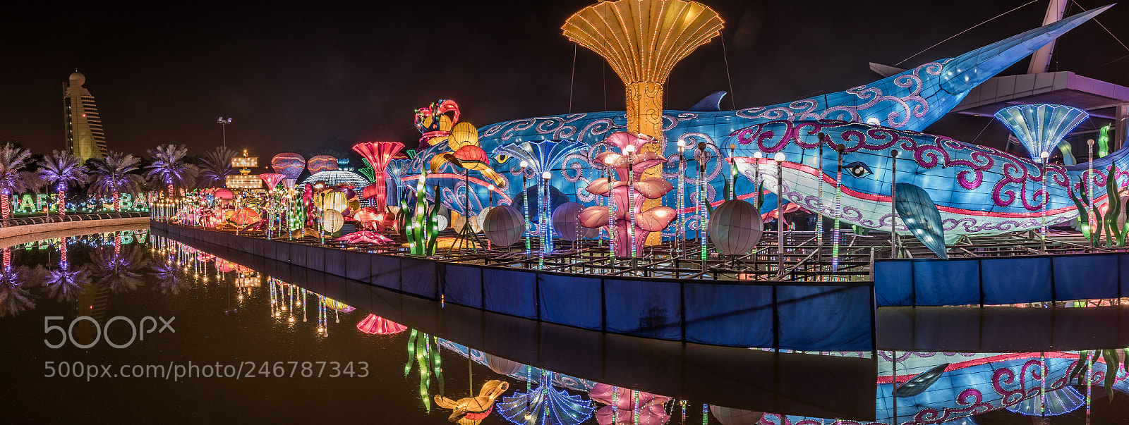 Nikon D810 sample photo. The sea creature department photography