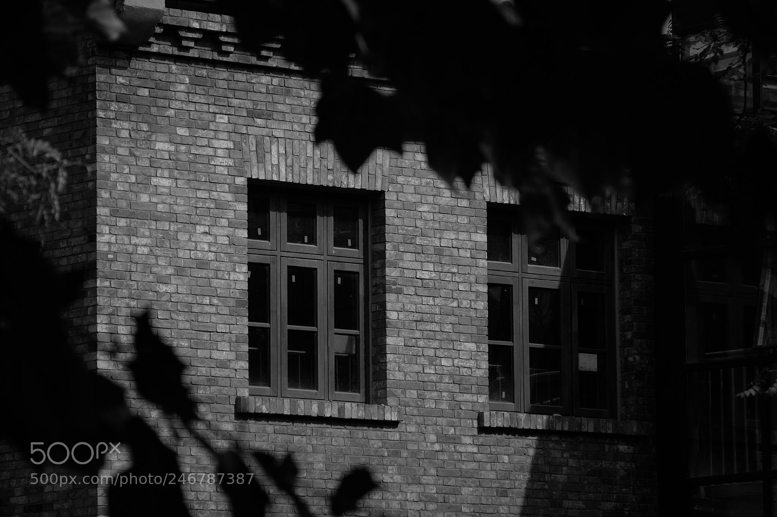 Fujifilm X-Pro2 sample photo. 逛天津 photography