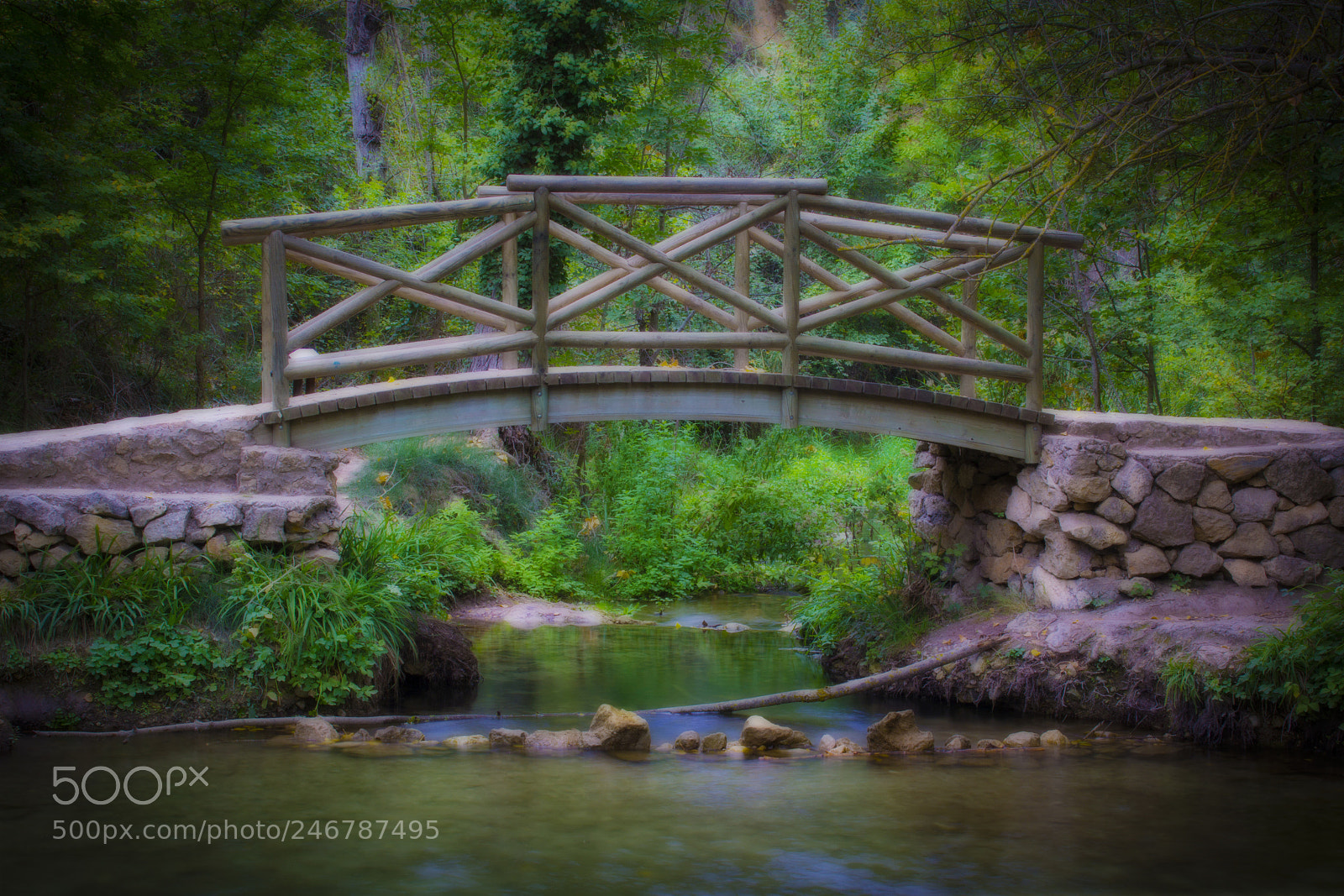 Canon EOS 60D sample photo. The bridge photography