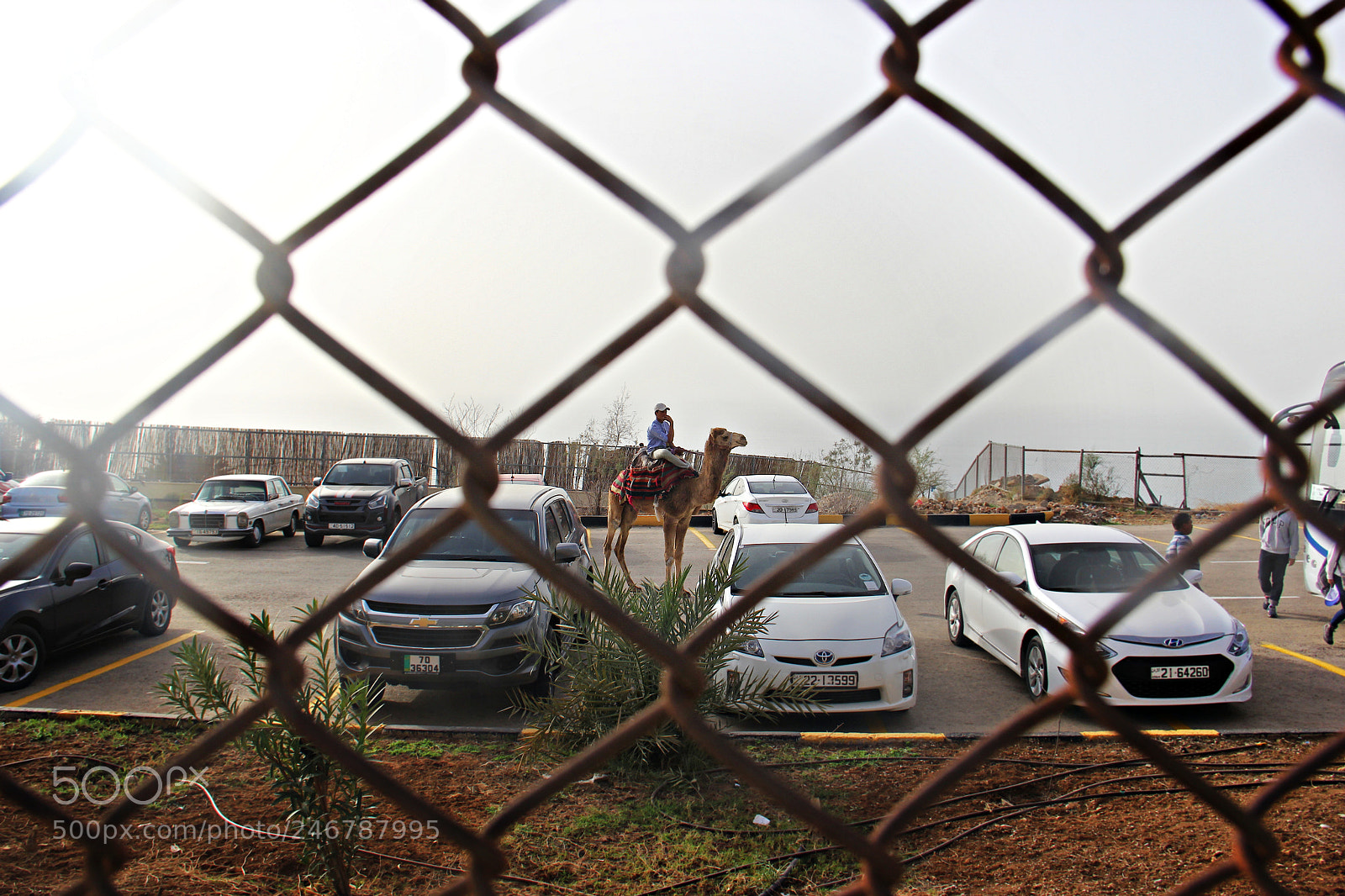 Canon EF-S 18-135mm F3.5-5.6 IS sample photo. Jordan diaries... photography