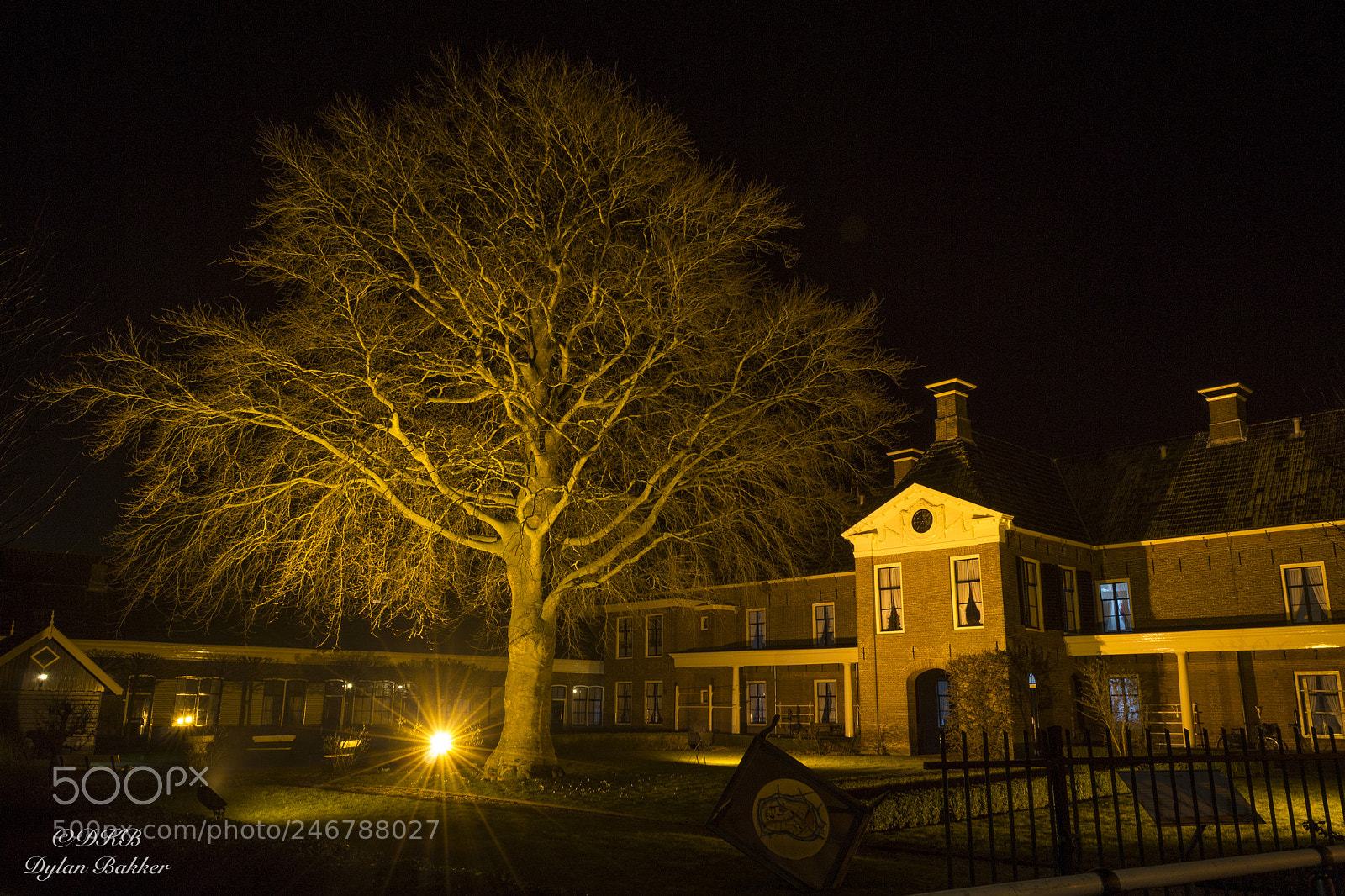 Nikon D3100 sample photo. House and tree photography