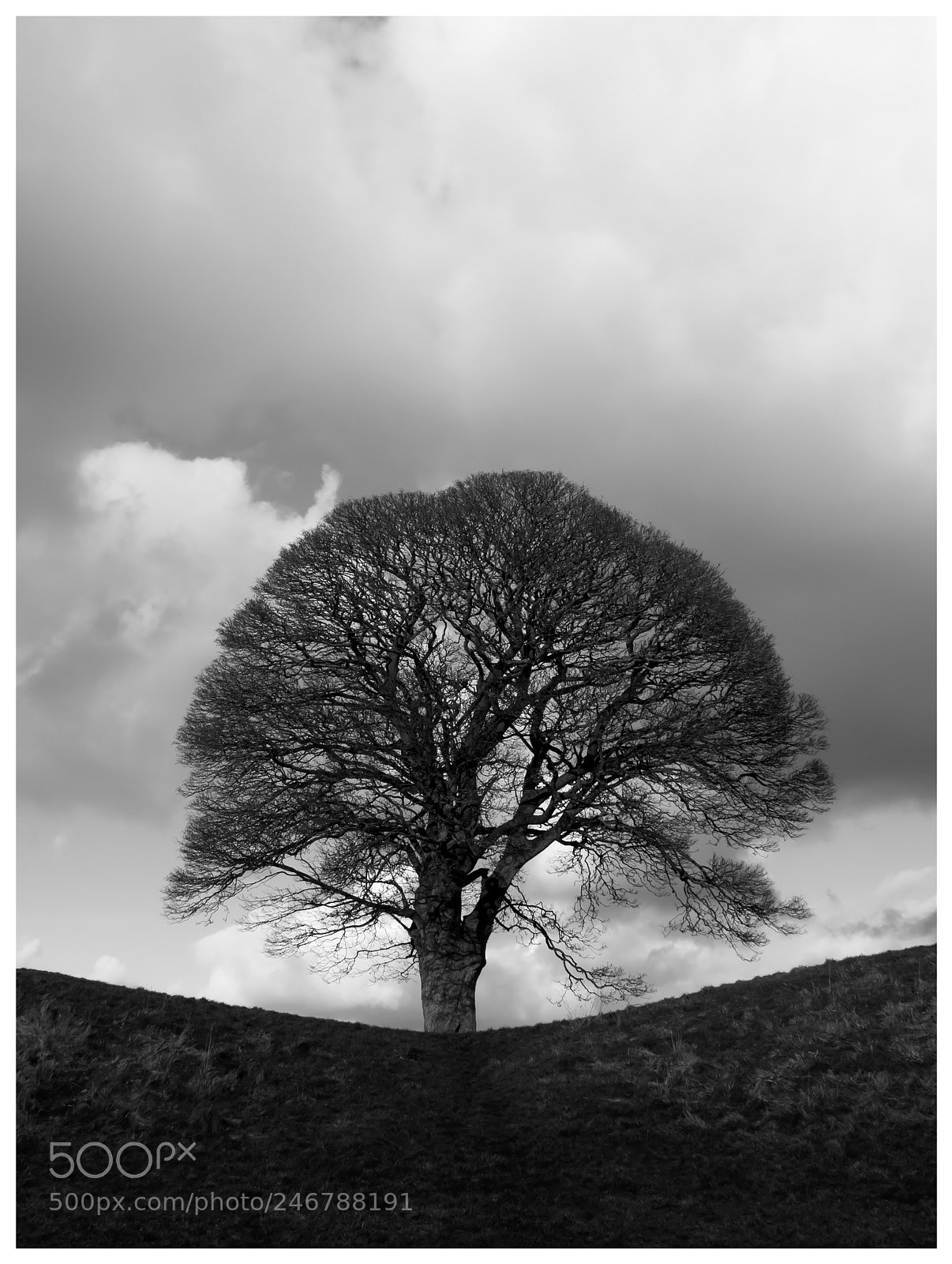 Nikon D3400 sample photo. Lonely hilltop photography