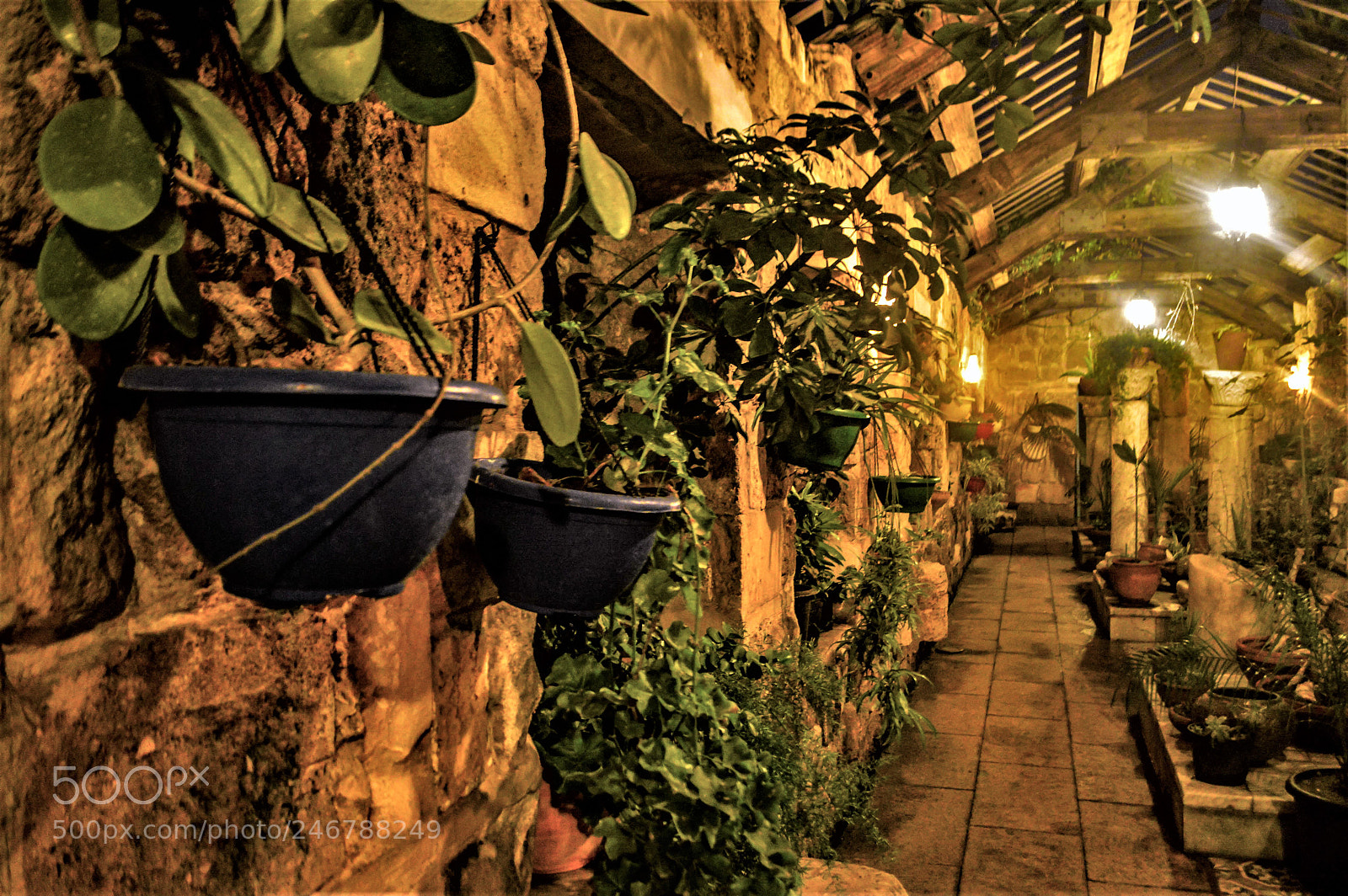Nikon D3200 sample photo. Hanging pots photography