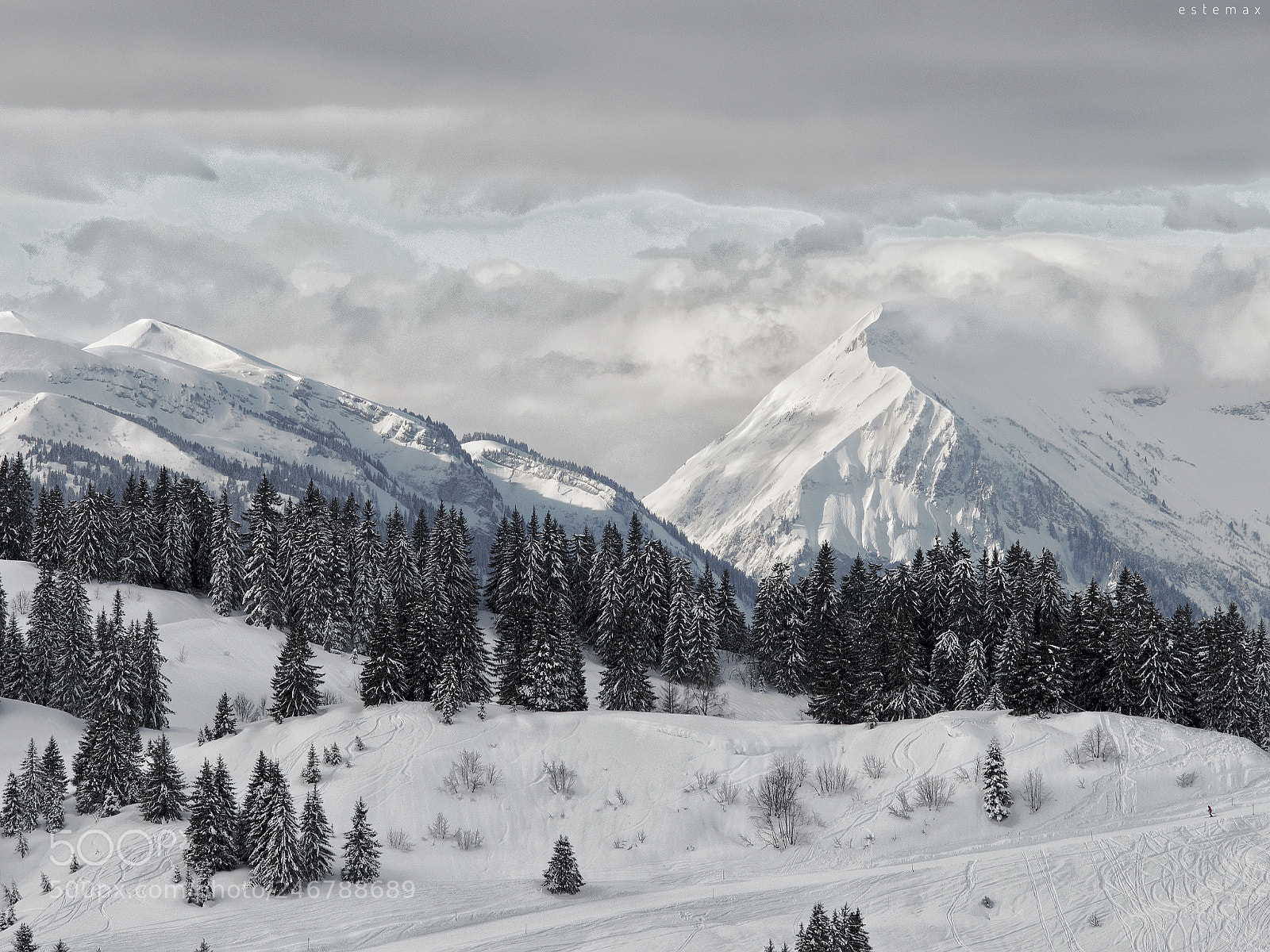 Olympus OM-D E-M1 sample photo. Tout blanc  photography