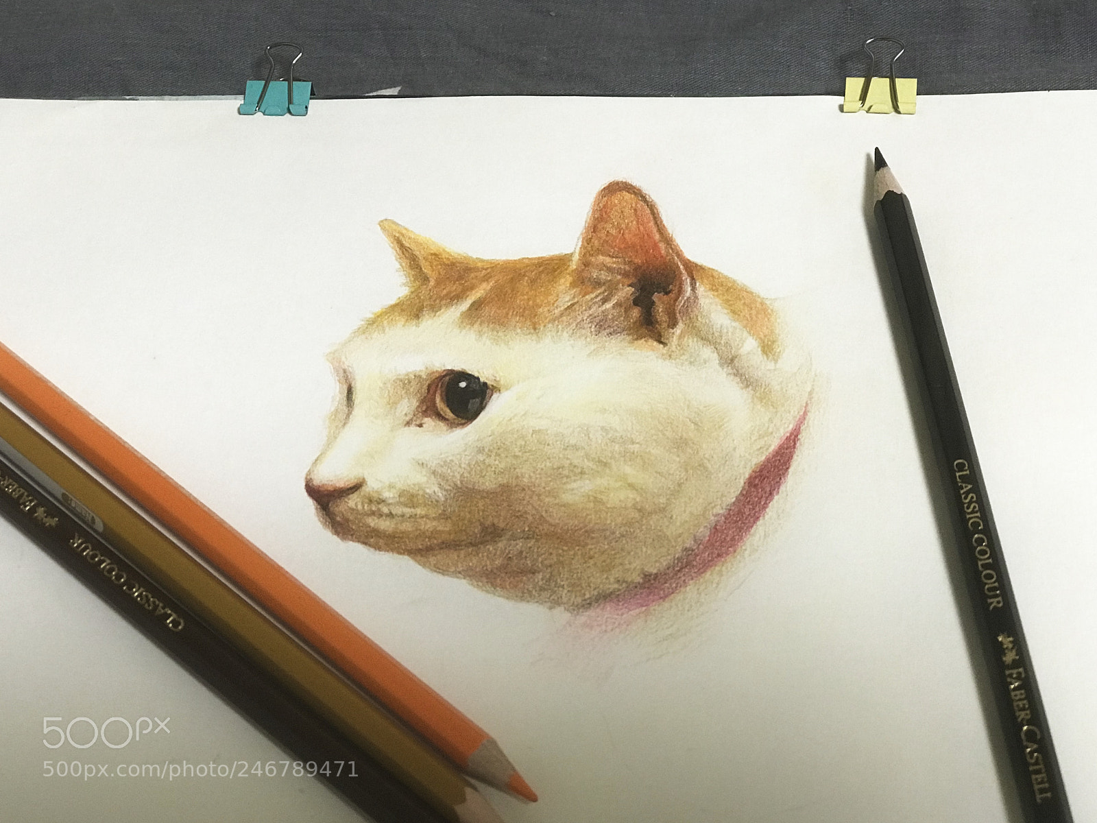 Apple iPhone 7 Plus sample photo. Colred pencil， cat photography