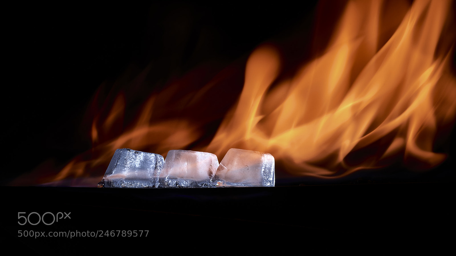 Nikon D800E sample photo. Cooling the heat photography