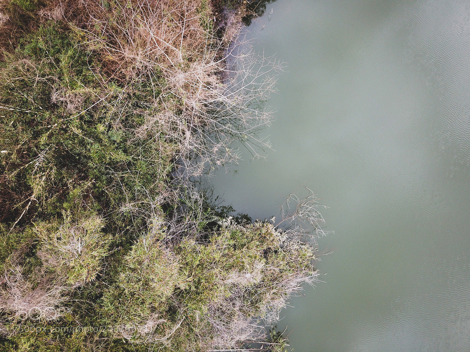 DJI FC220 sample photo. Untitled photography