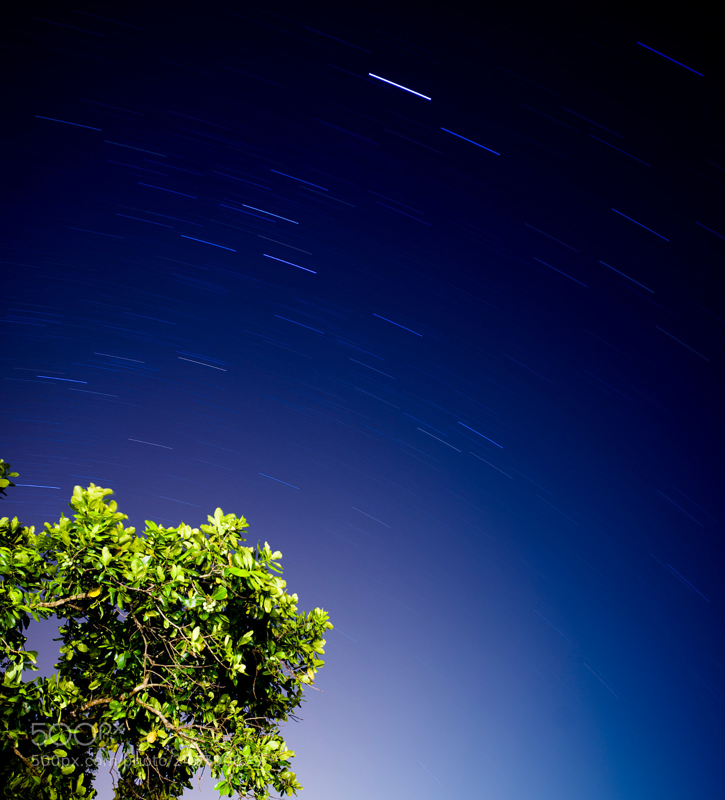 Hasselblad X1D-50c sample photo. Star trails photography