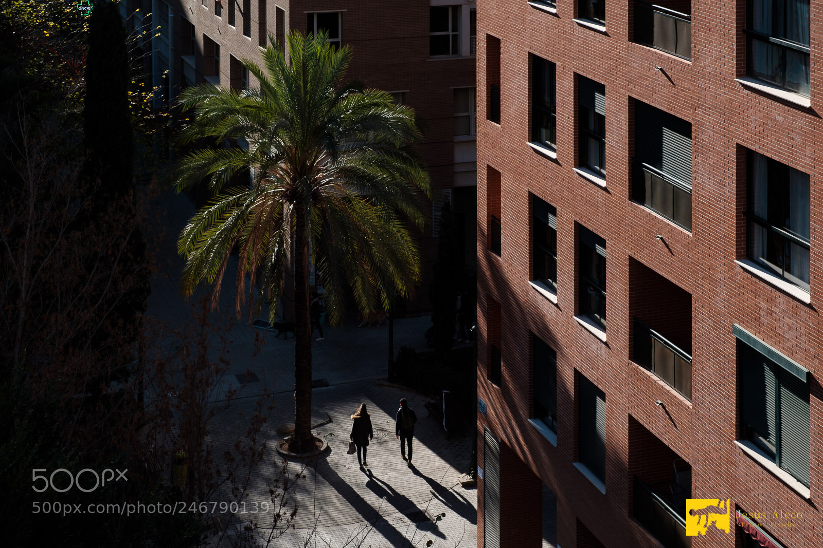 Fujifilm X-Pro2 sample photo. "shadows in the morning" photography