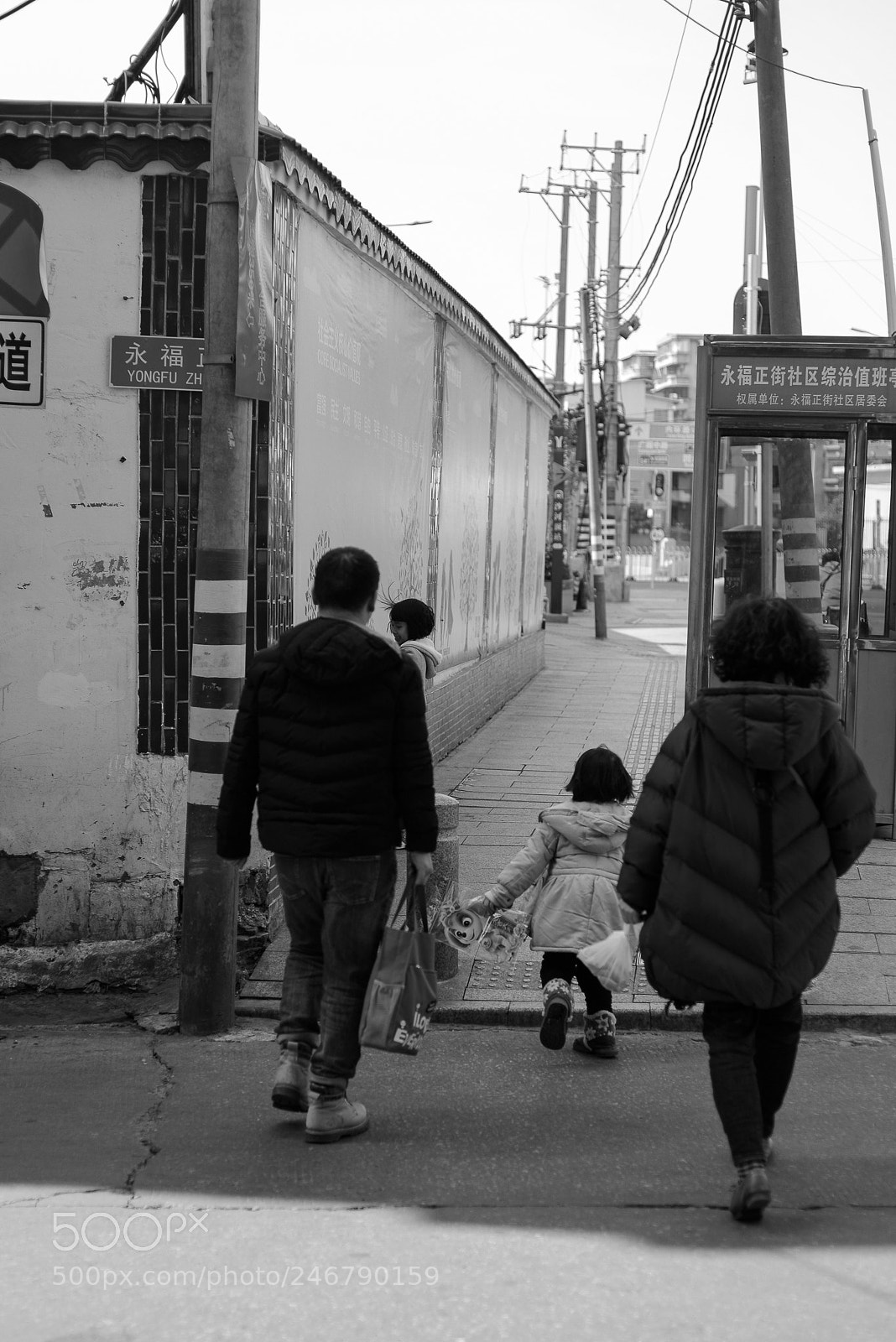 Nikon D600 sample photo. 。 photography