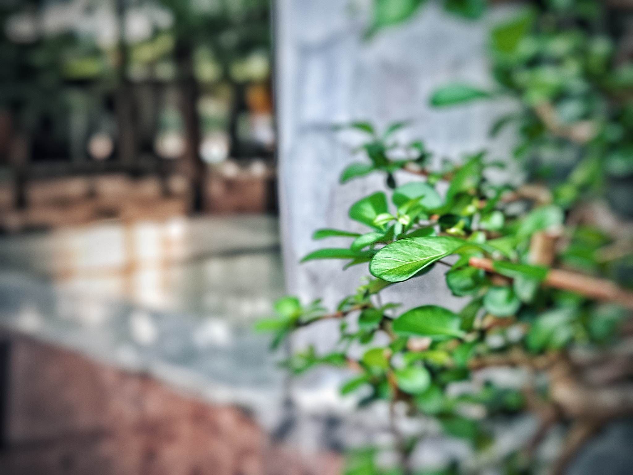 Meizu PRO 5 sample photo