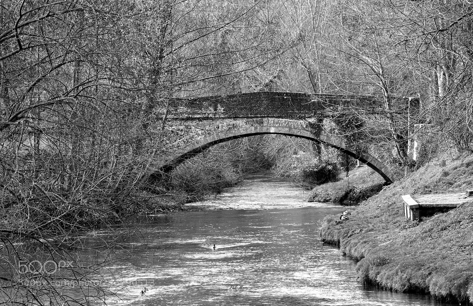 Canon EOS 1200D (EOS Rebel T5 / EOS Kiss X70 / EOS Hi) sample photo. Le petit pont de photography