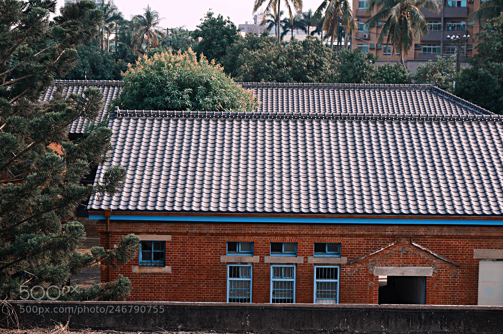 Sony Alpha NEX-5R sample photo. 原日本海軍鳳山無線電信所 photography