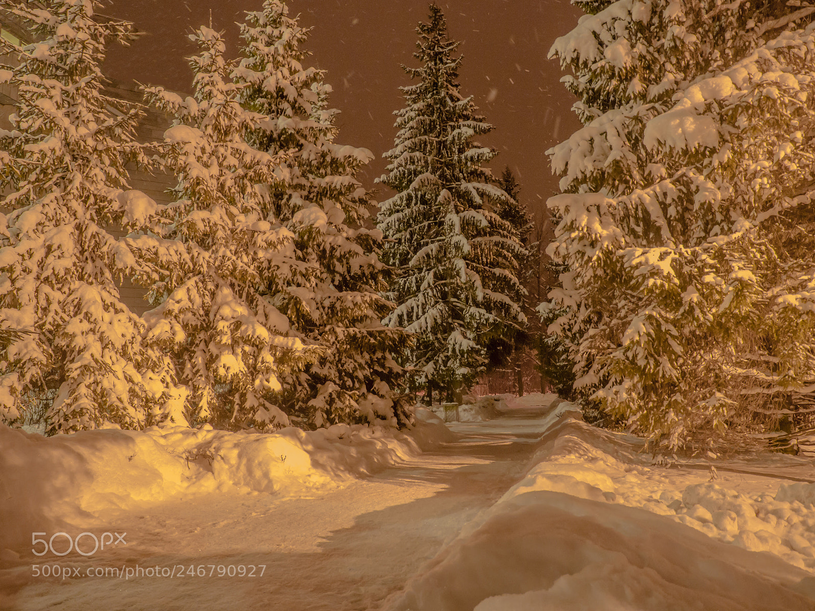 Olympus OM-D E-M10 II sample photo. A snow fairy tale photography