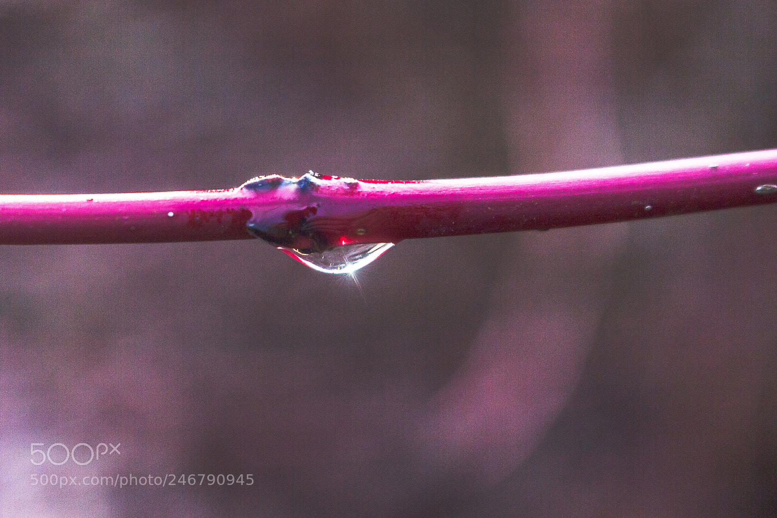 Canon EOS 700D (EOS Rebel T5i / EOS Kiss X7i) sample photo. Water droplet photography