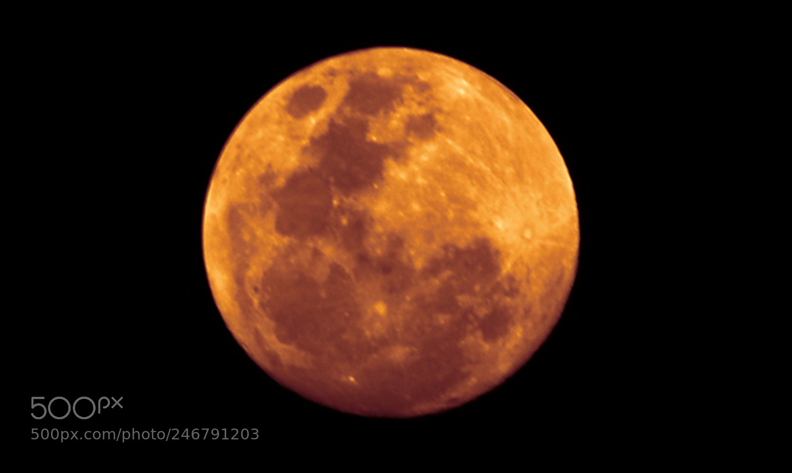 Nikon D5200 sample photo. Vss photography