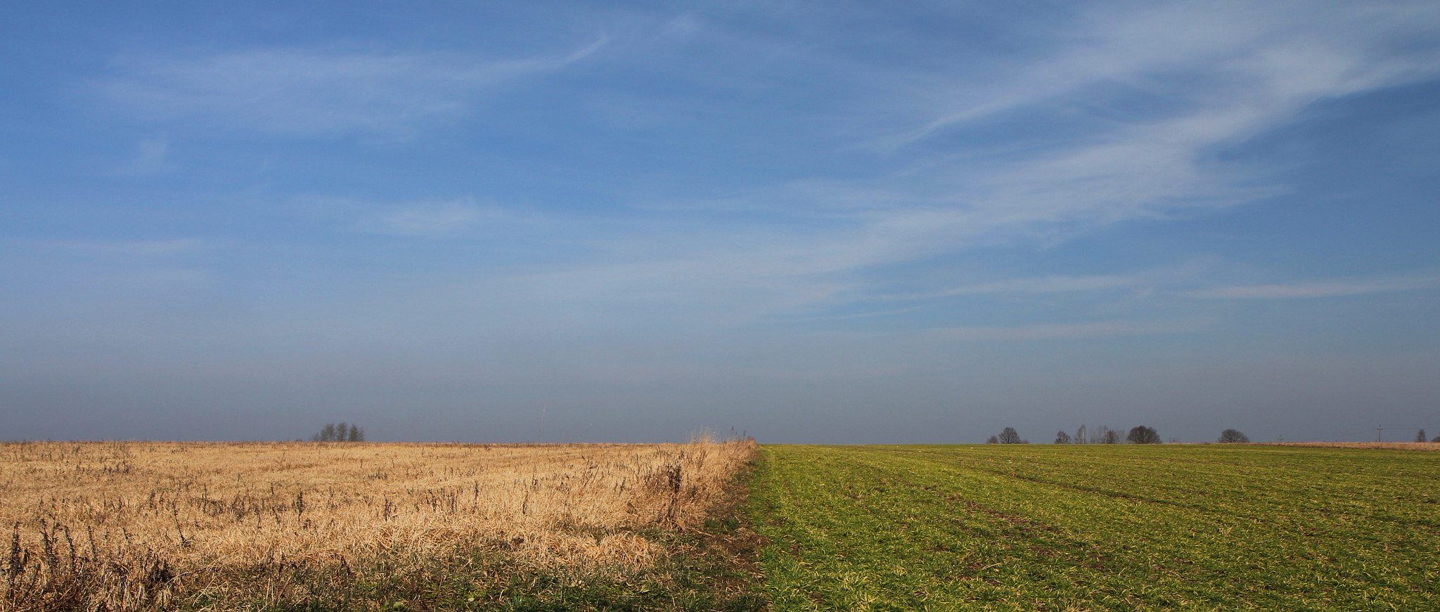 Canon EF-S 17-55mm F2.8 IS USM sample photo. ;) photography
