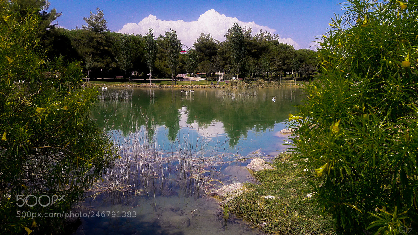 Samsung Galaxy J7 sample photo. Pond photography