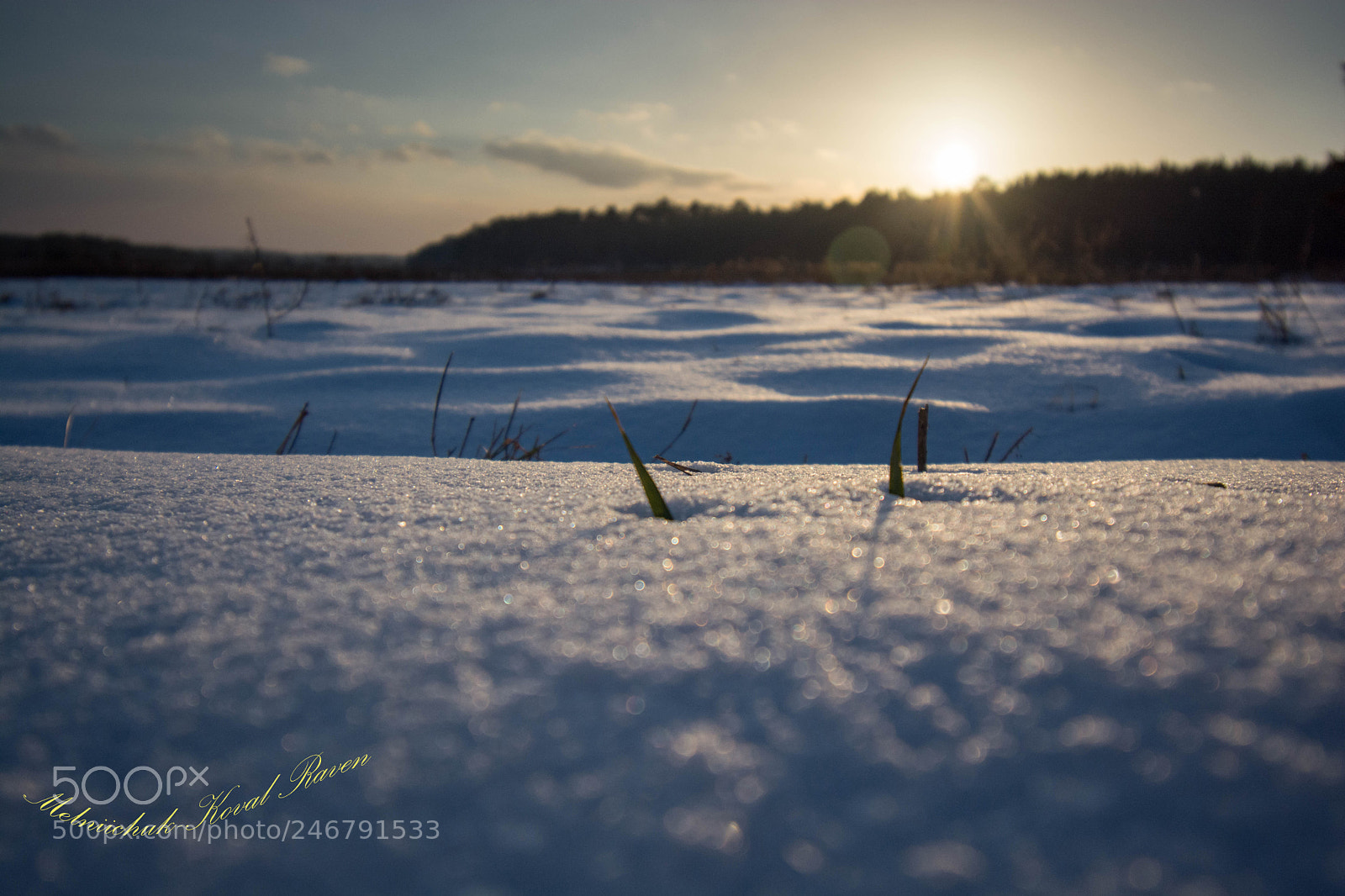 Nikon D5200 sample photo. Beautiful winter sunset ) photography