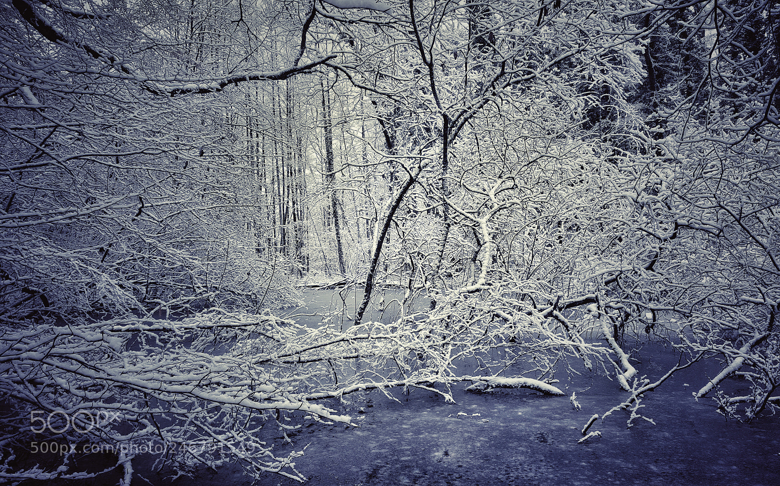 Samsung Galaxy S6 sample photo. Long cold winter photography