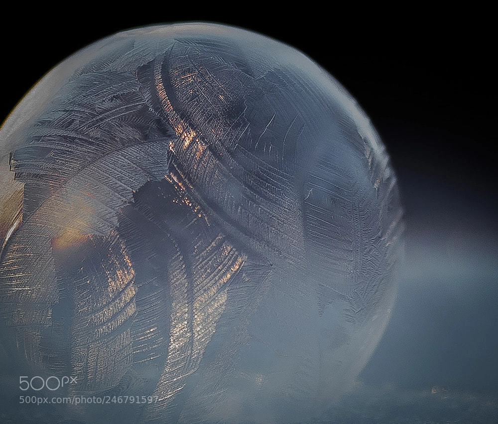 Sony SLT-A77 sample photo. Frozen bubble photography