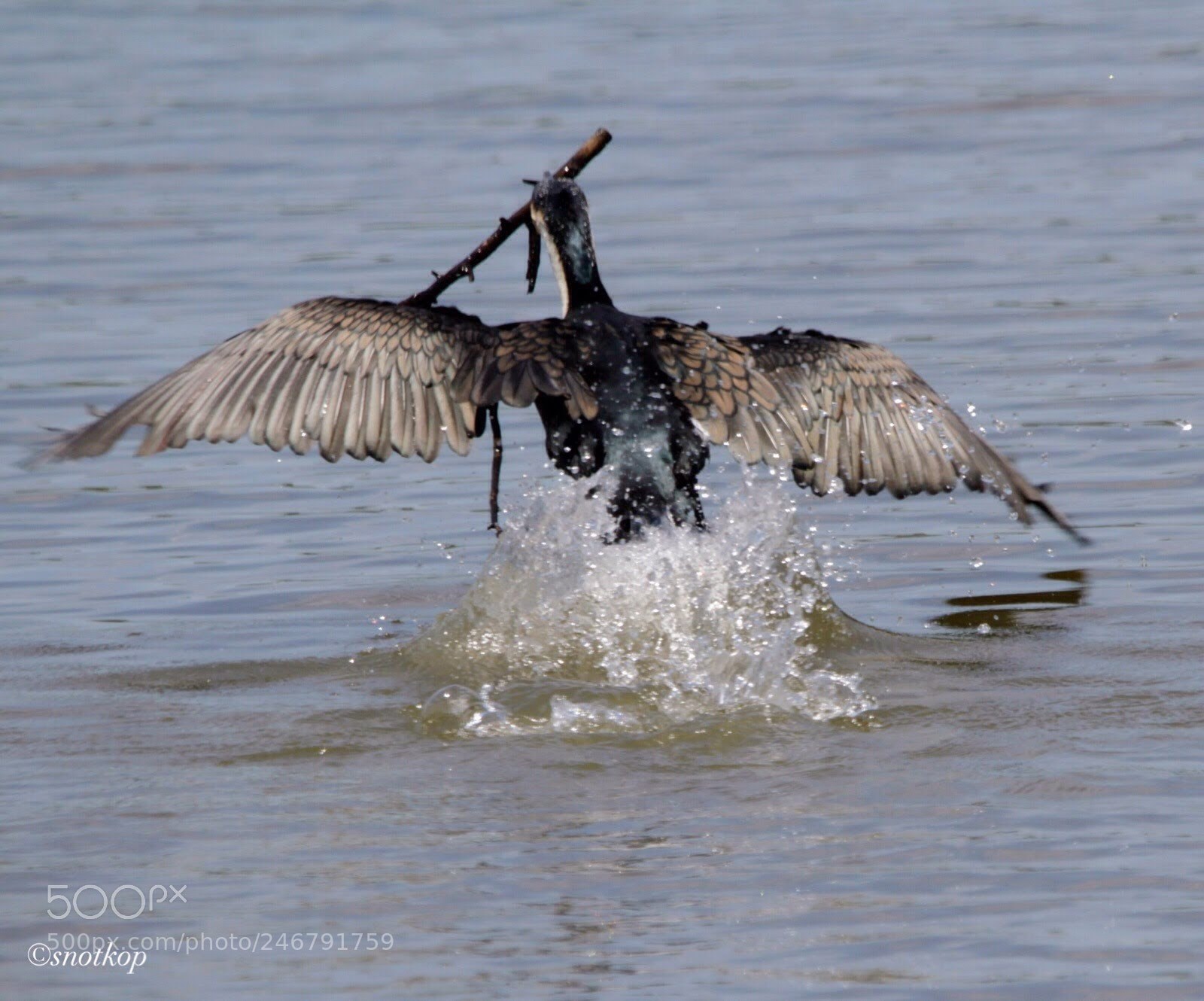 Canon EOS 7D sample photo. Untitled photography
