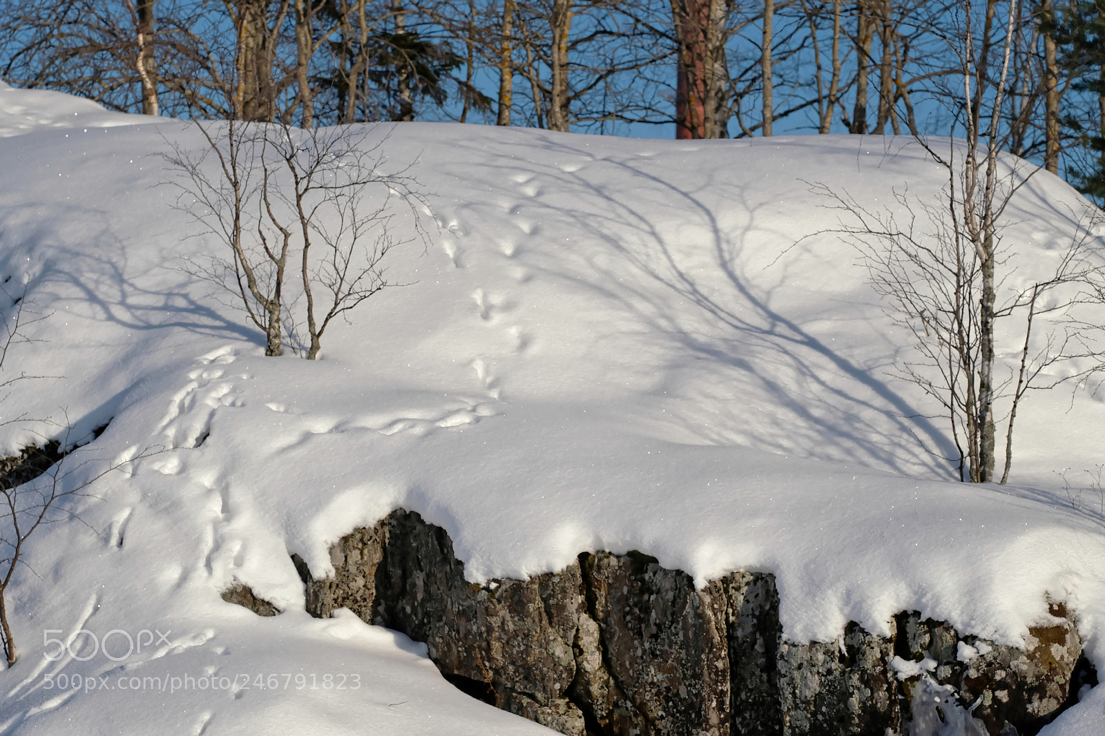 Fujifilm X-T2 sample photo. Snow photography