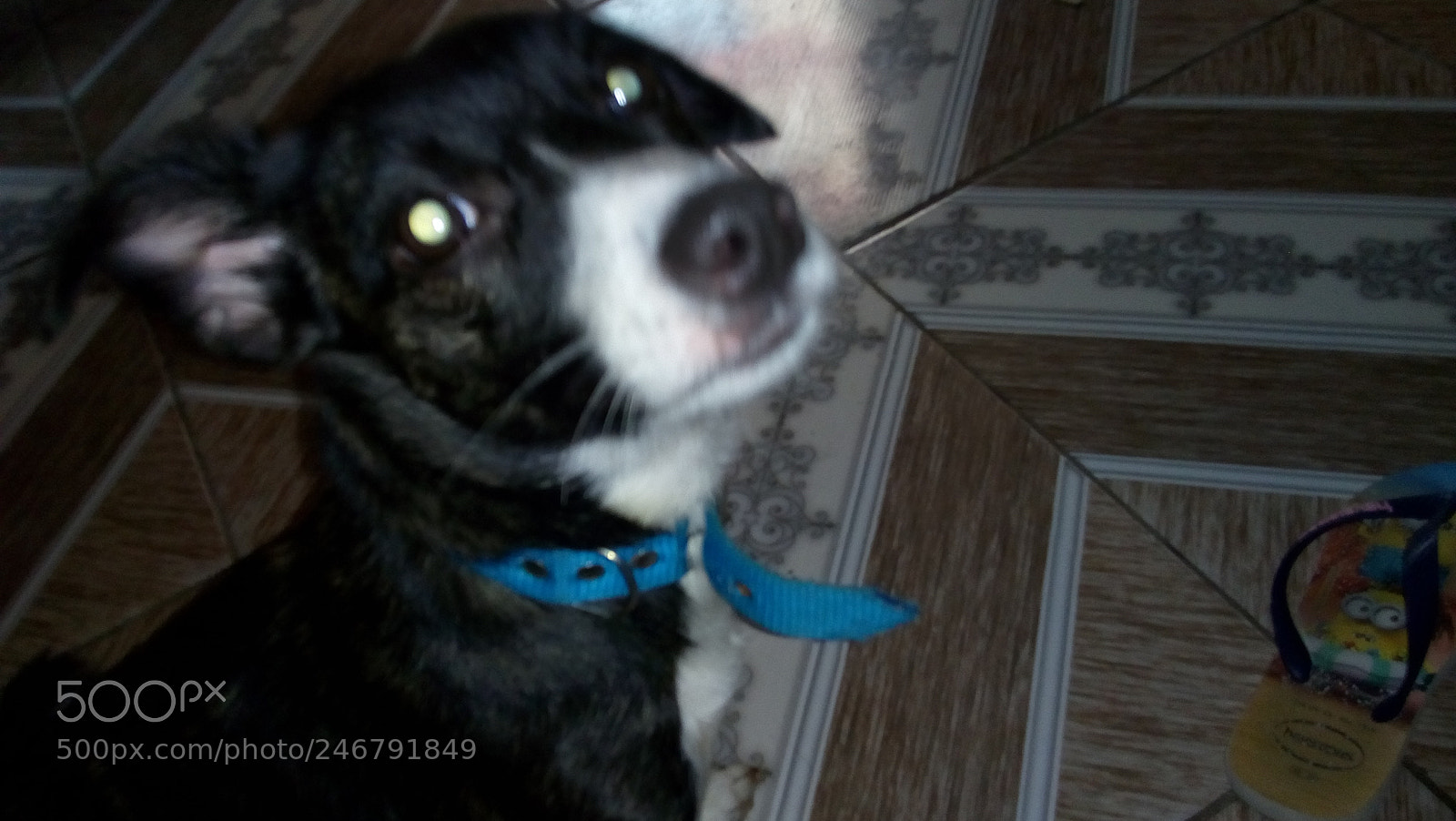 Motorola Moto E4 sample photo. Untitled photography