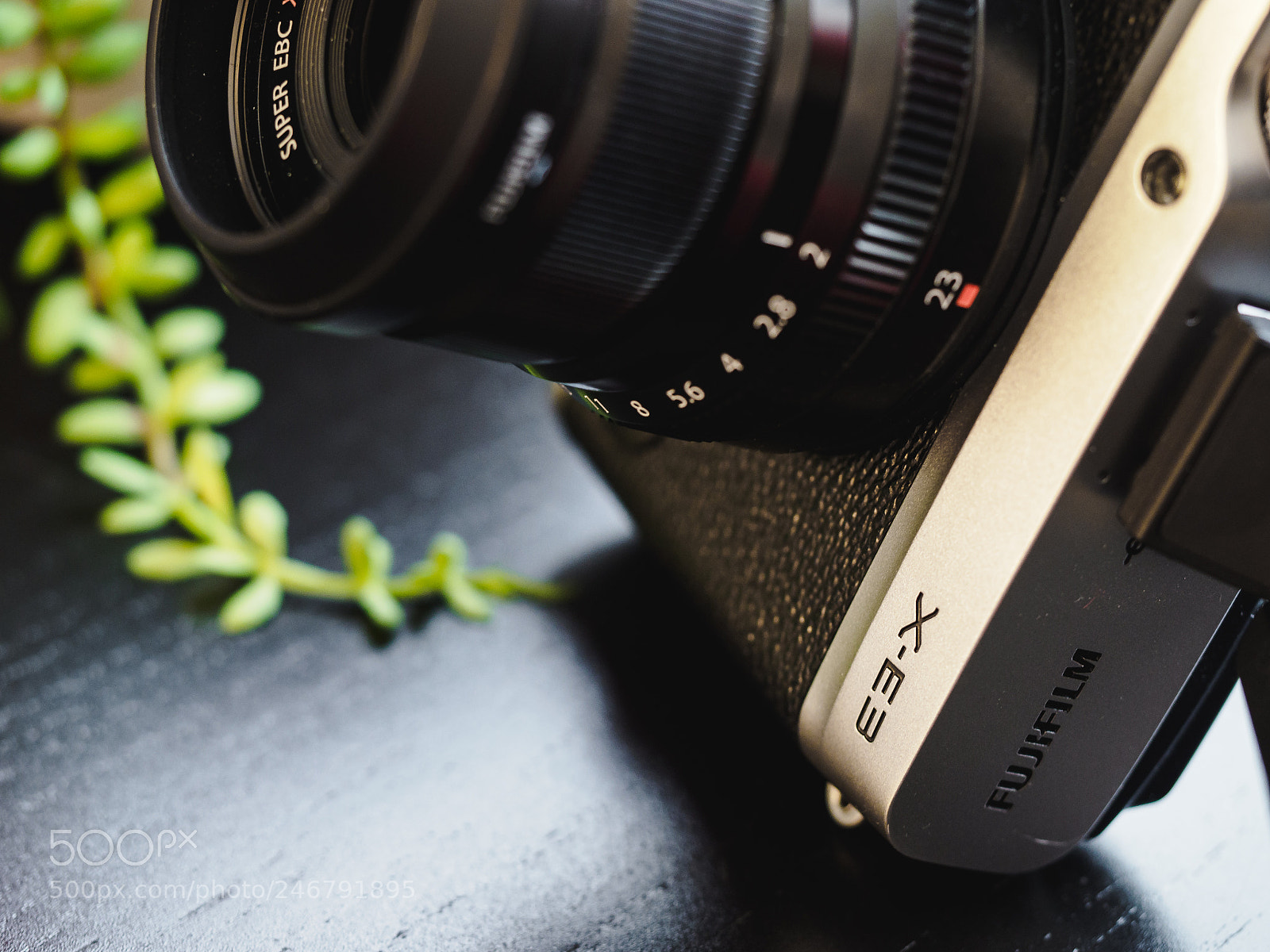 Olympus OM-D E-M1 Mark II sample photo. Fujifilm x-e3 review image photography