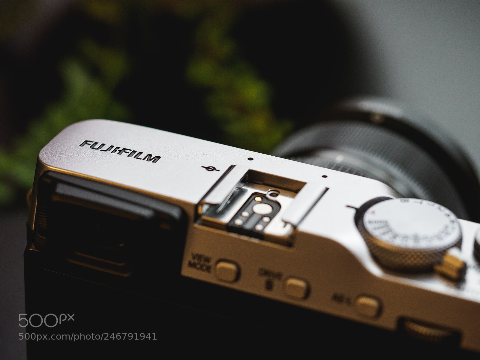 Olympus OM-D E-M1 Mark II sample photo. Fujifilm x-e3 review image photography