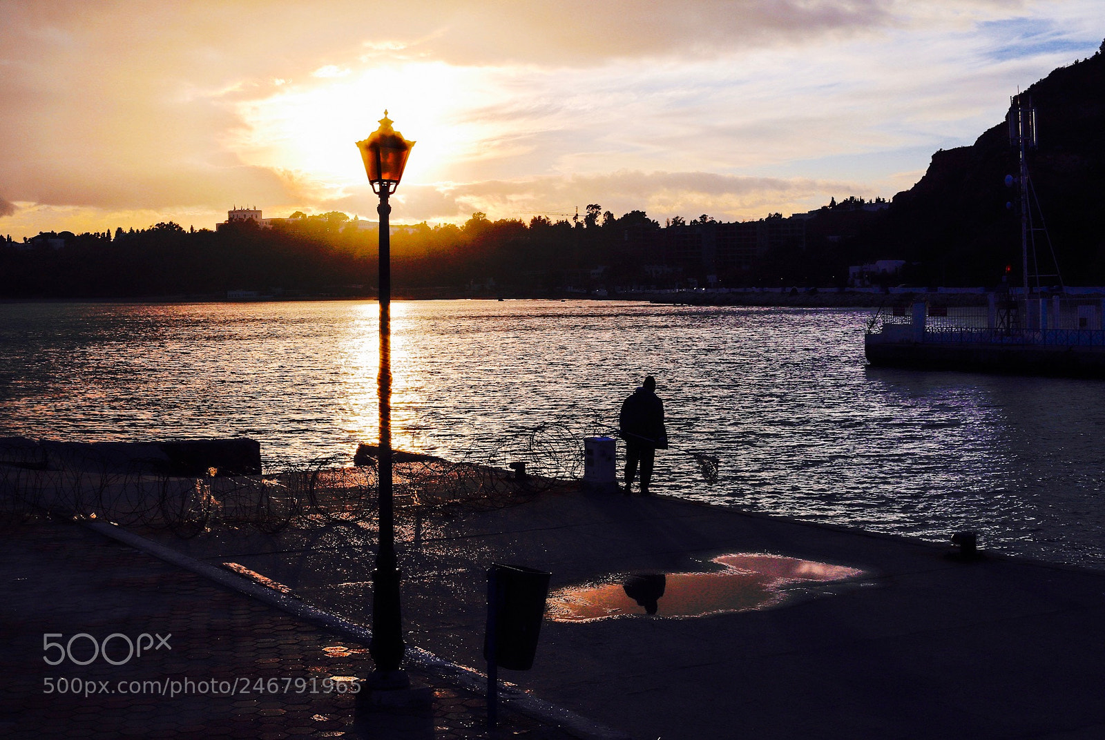 Canon EOS 6D Mark II sample photo. Untitled photography
