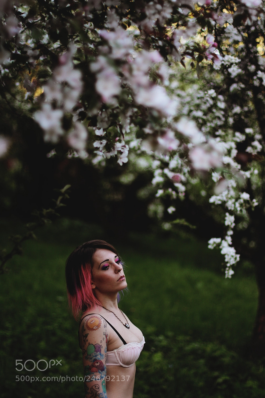 Canon EOS 7D sample photo. Img photography