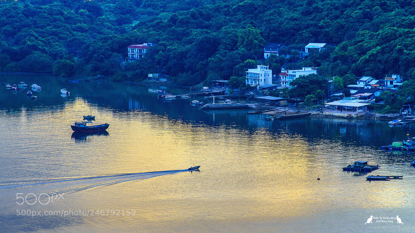 Nikon D800E sample photo. Sunlight in the sea photography